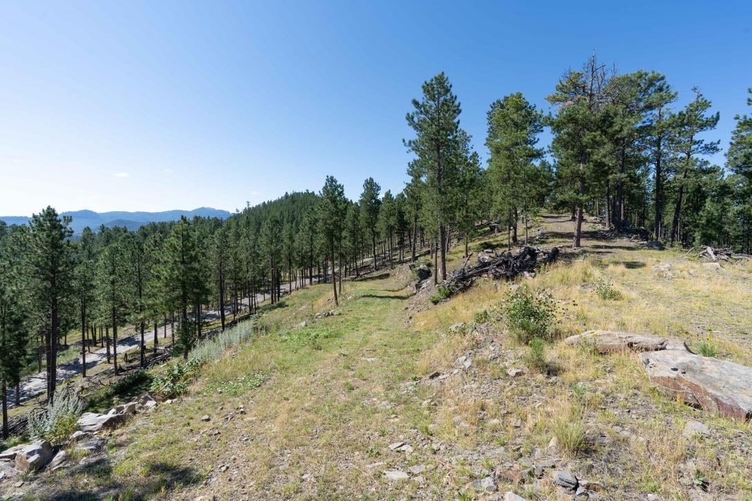 12491 S Tall Pine Road Property Photo 15