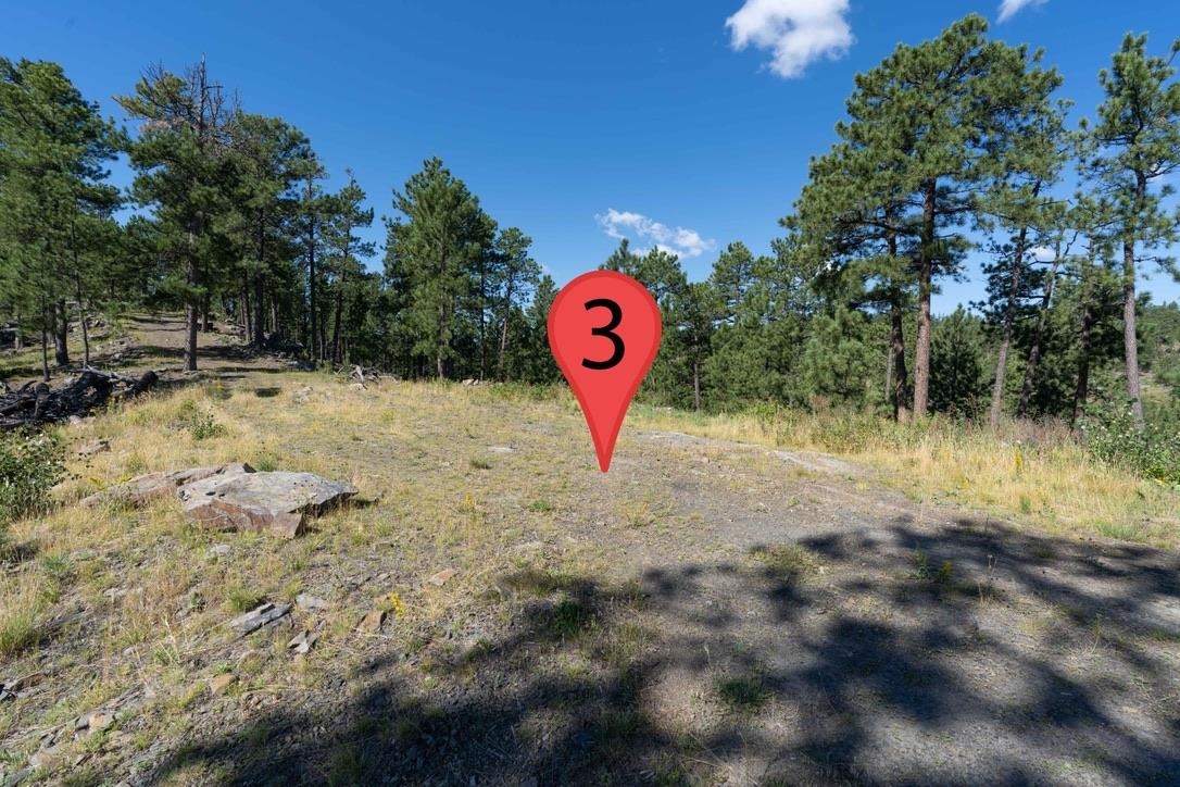 12491 S Tall Pine Road Property Photo 16