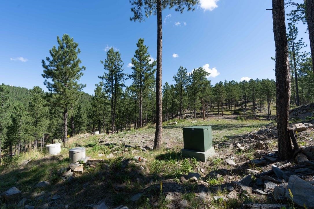 12491 S Tall Pine Road Property Photo 19