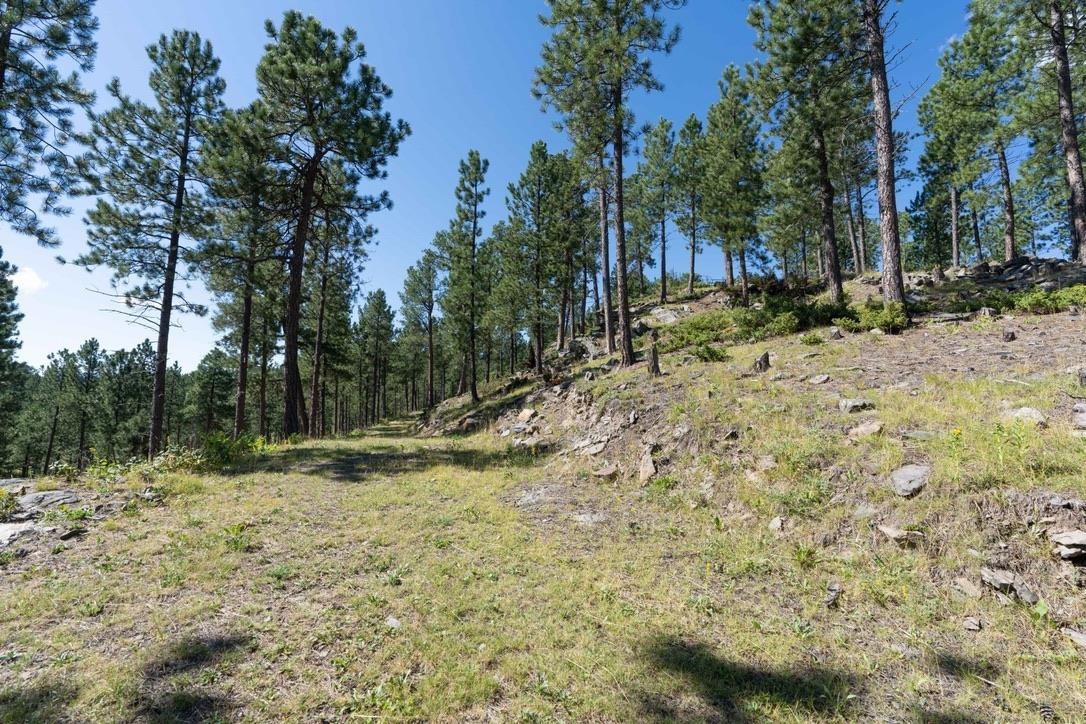 12491 S Tall Pine Road Property Photo 21