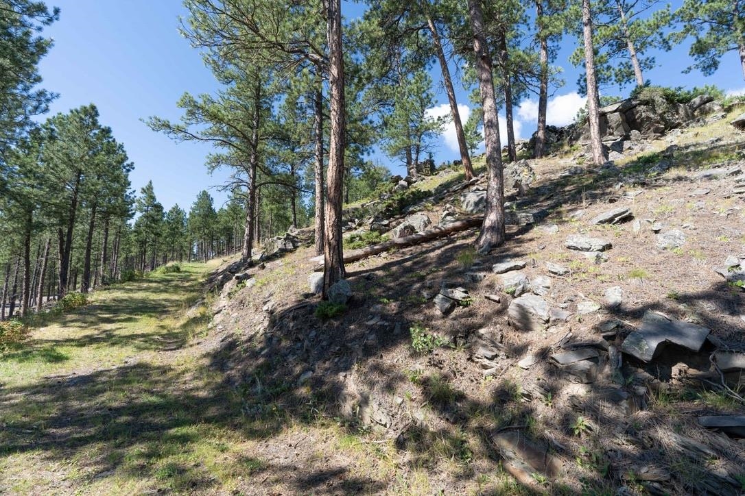 12491 S Tall Pine Road Property Photo 22