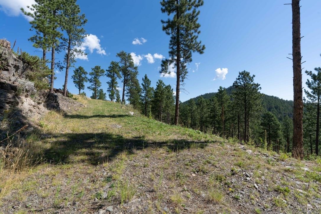 12491 S Tall Pine Road Property Photo 24