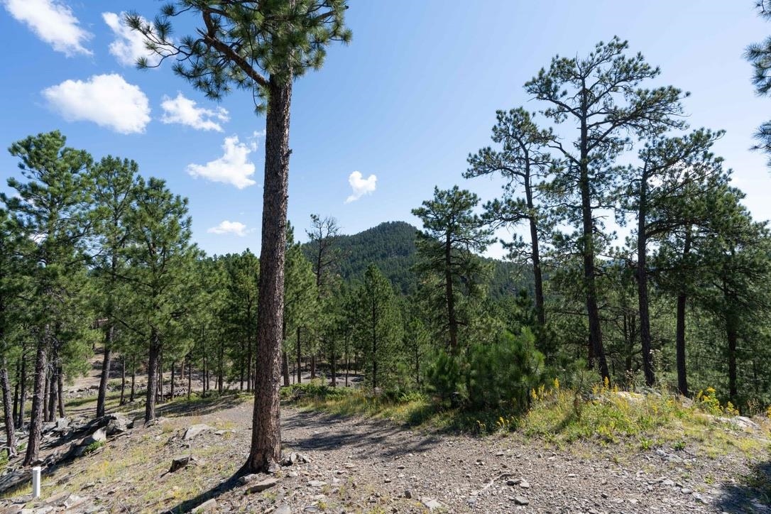 12491 S Tall Pine Road Property Photo 25