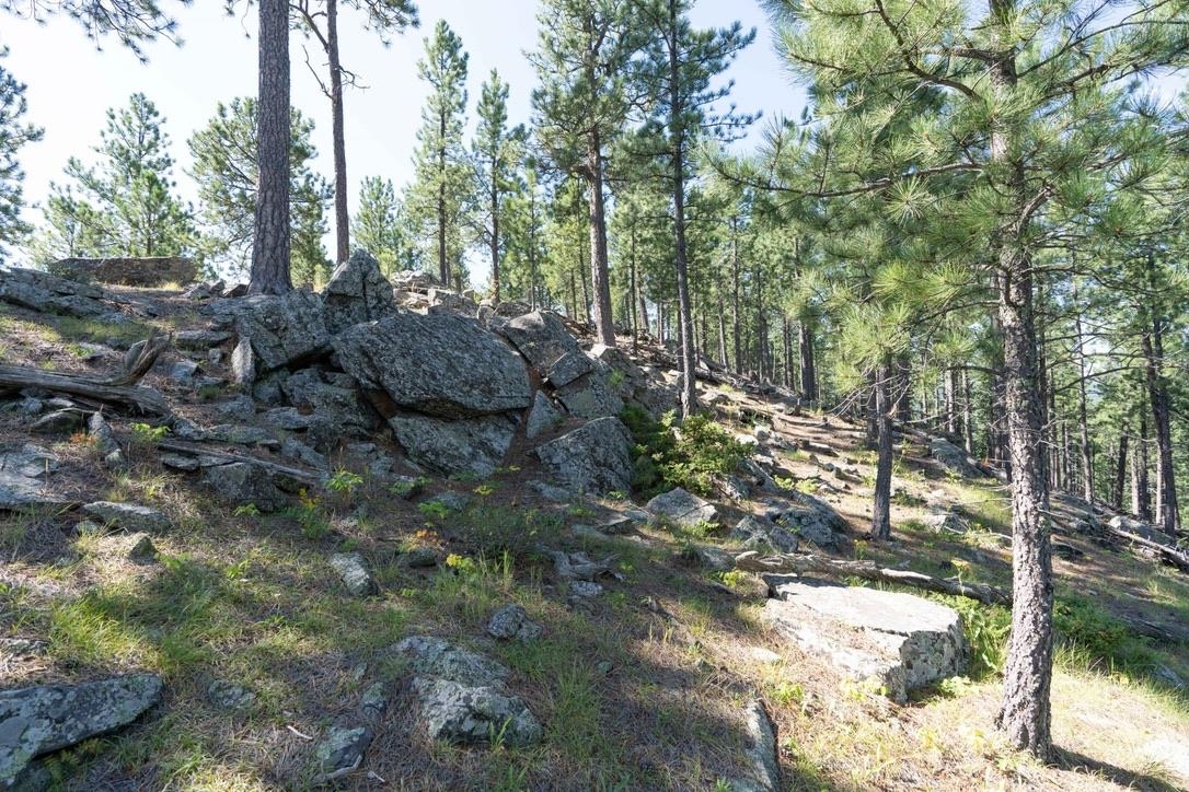 12491 S Tall Pine Road Property Photo 26
