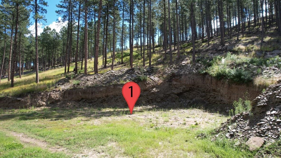 12491 S Tall Pine Road Property Photo 29
