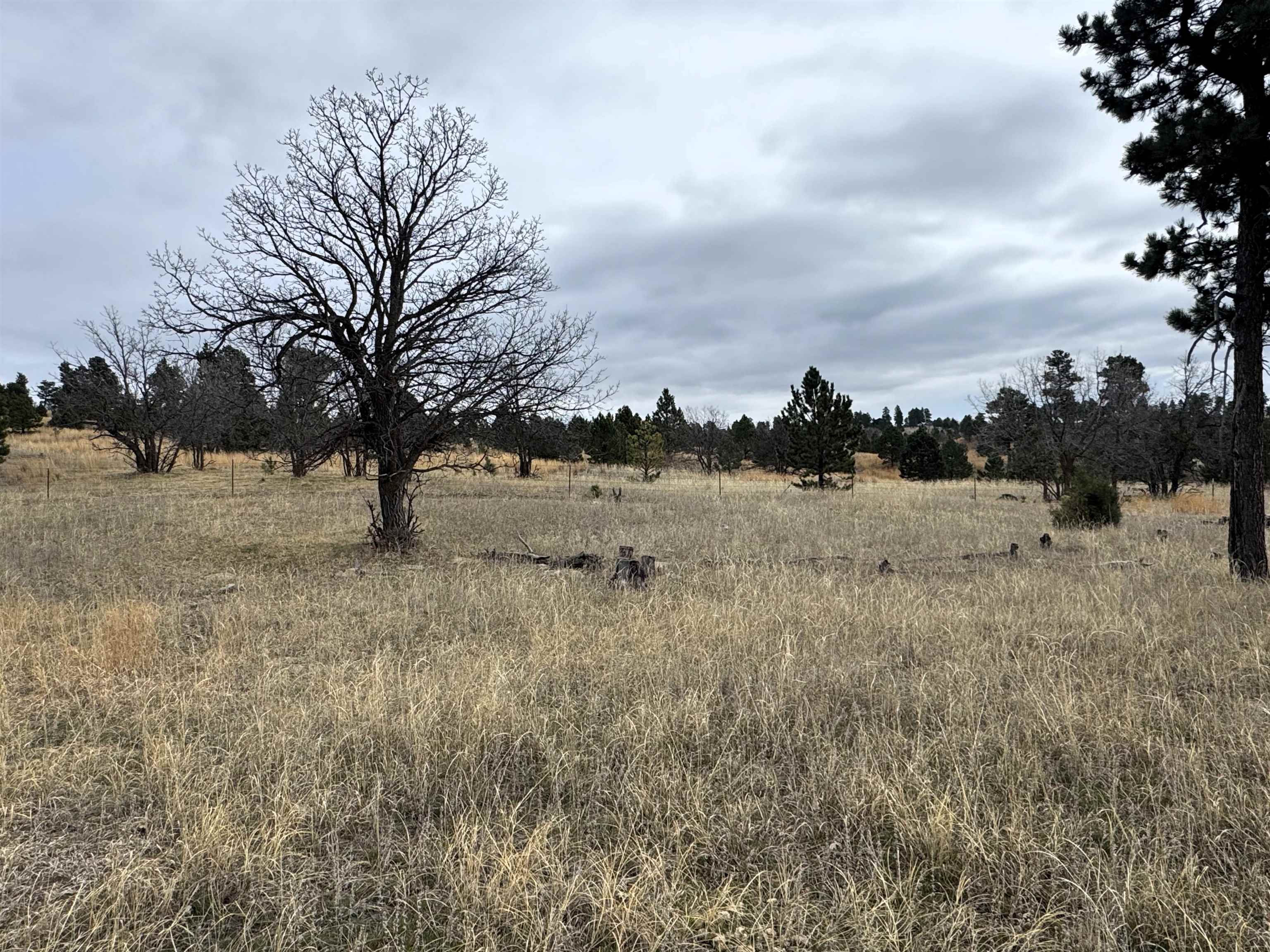 Tract 4 Property Photo 2