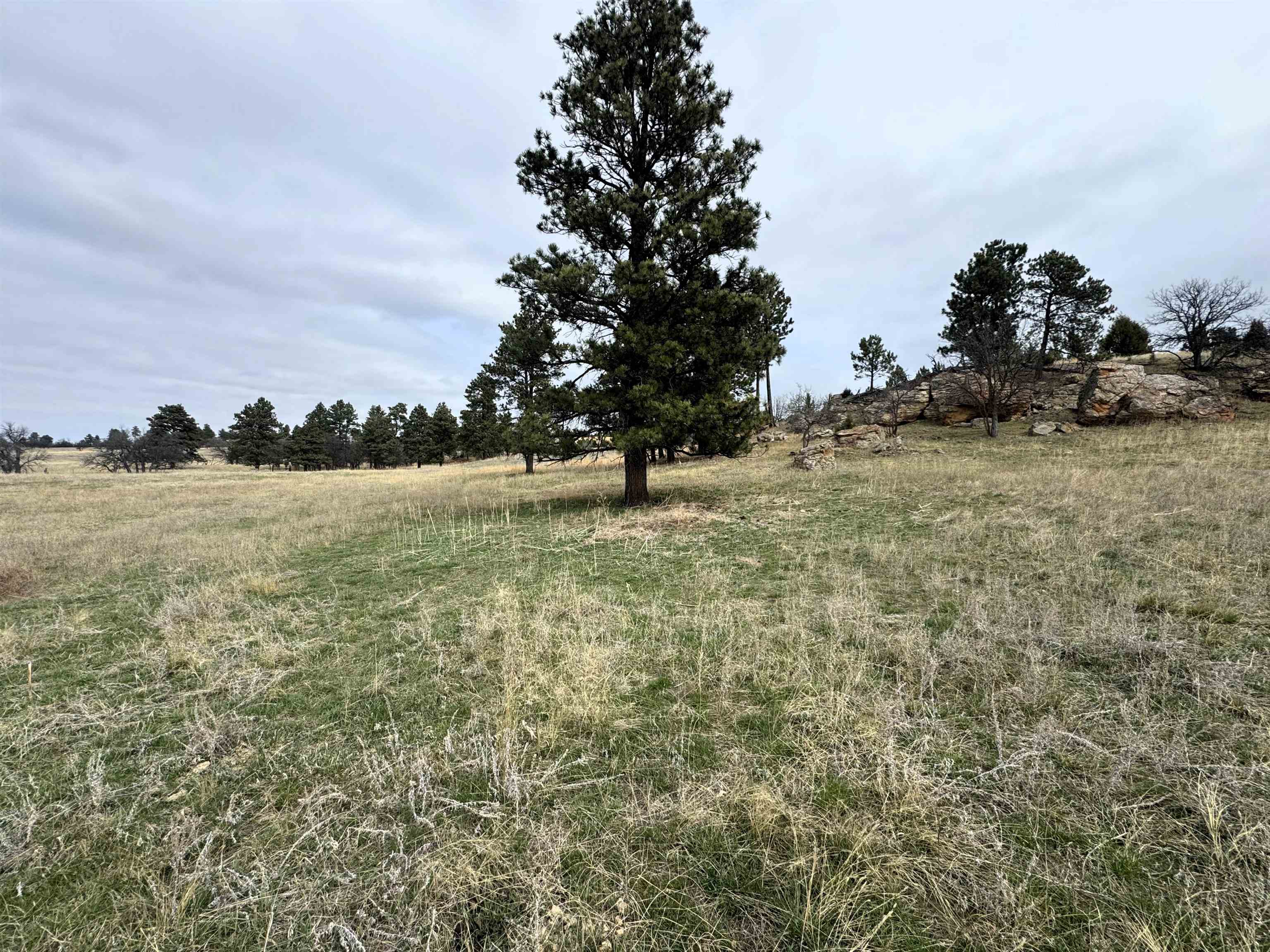 Tract 4 Property Photo 3