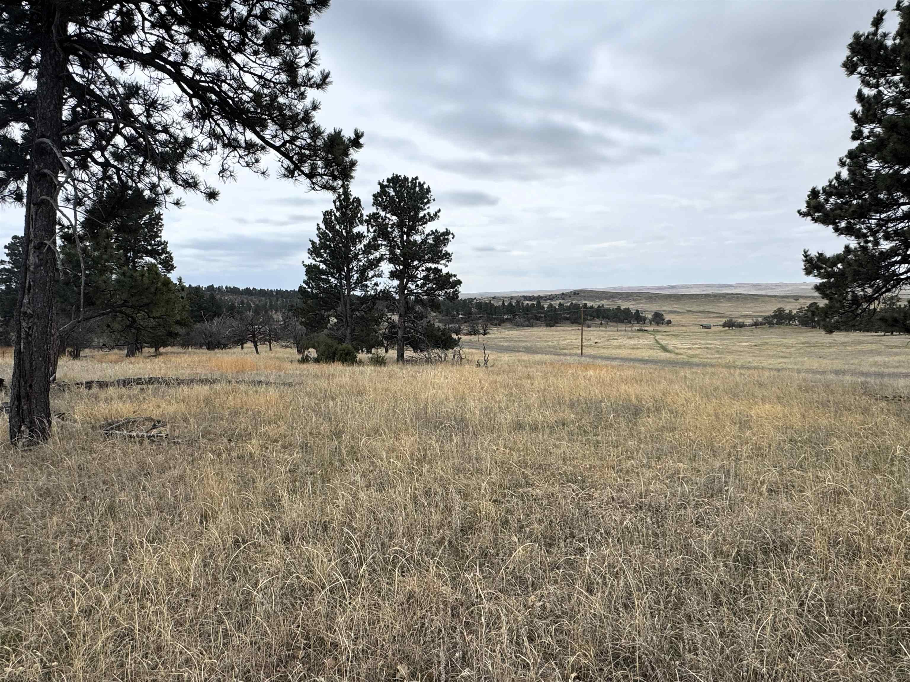 Tract 4 Property Photo 4