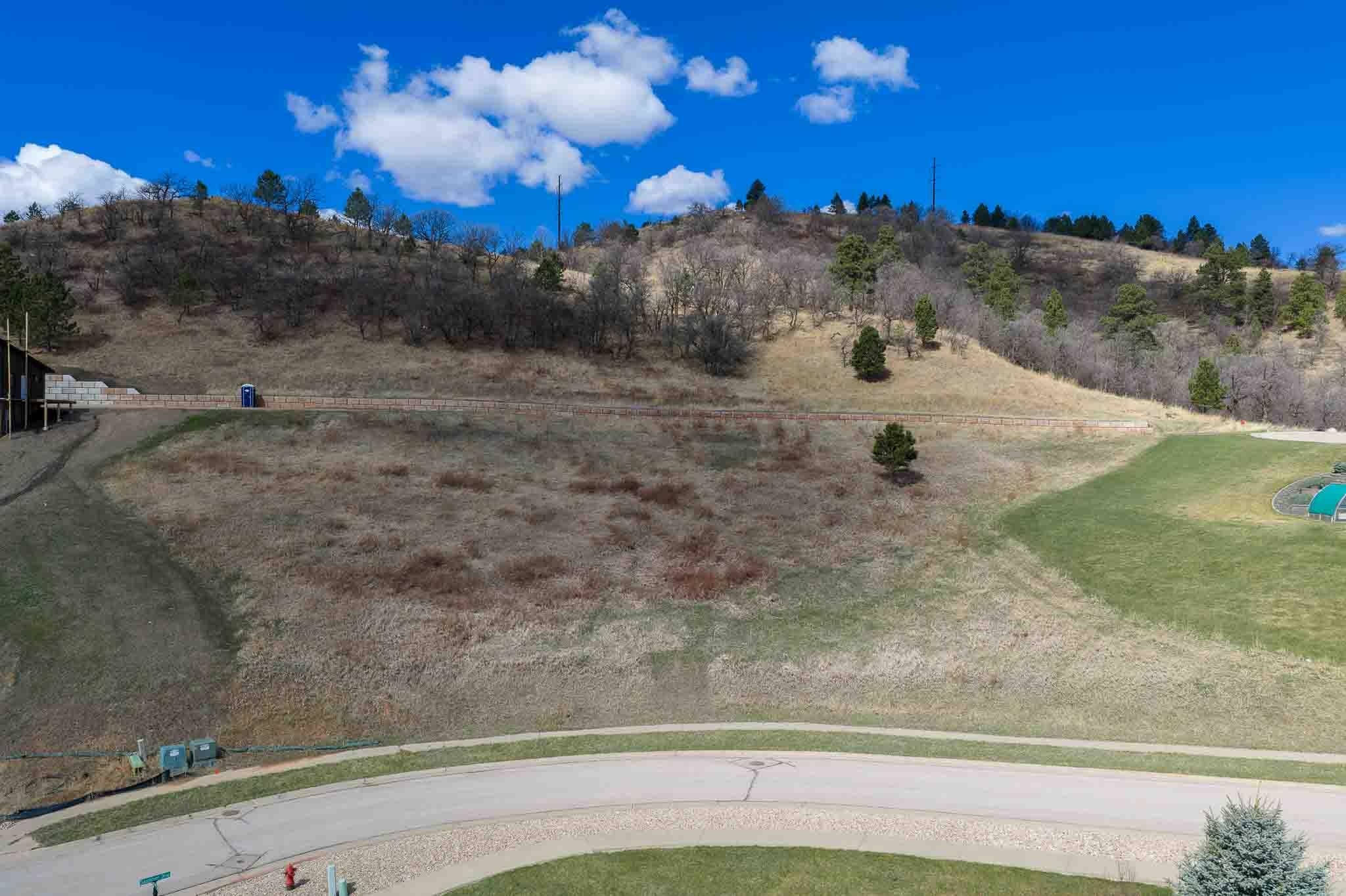 2221 Saddle Horn Drive Property Photo 1