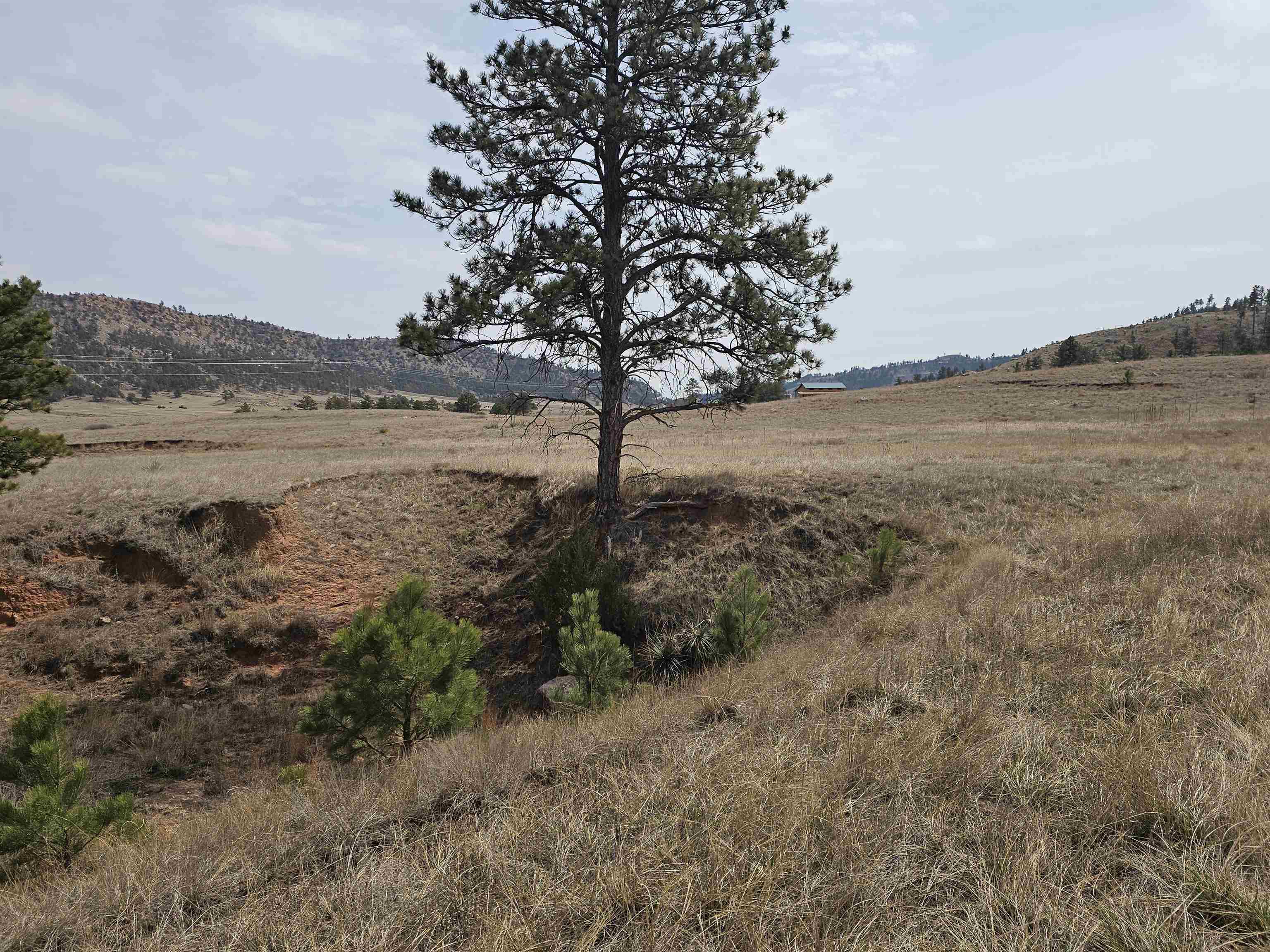 Lot 3b Sheps Heights Road Property Photo 8