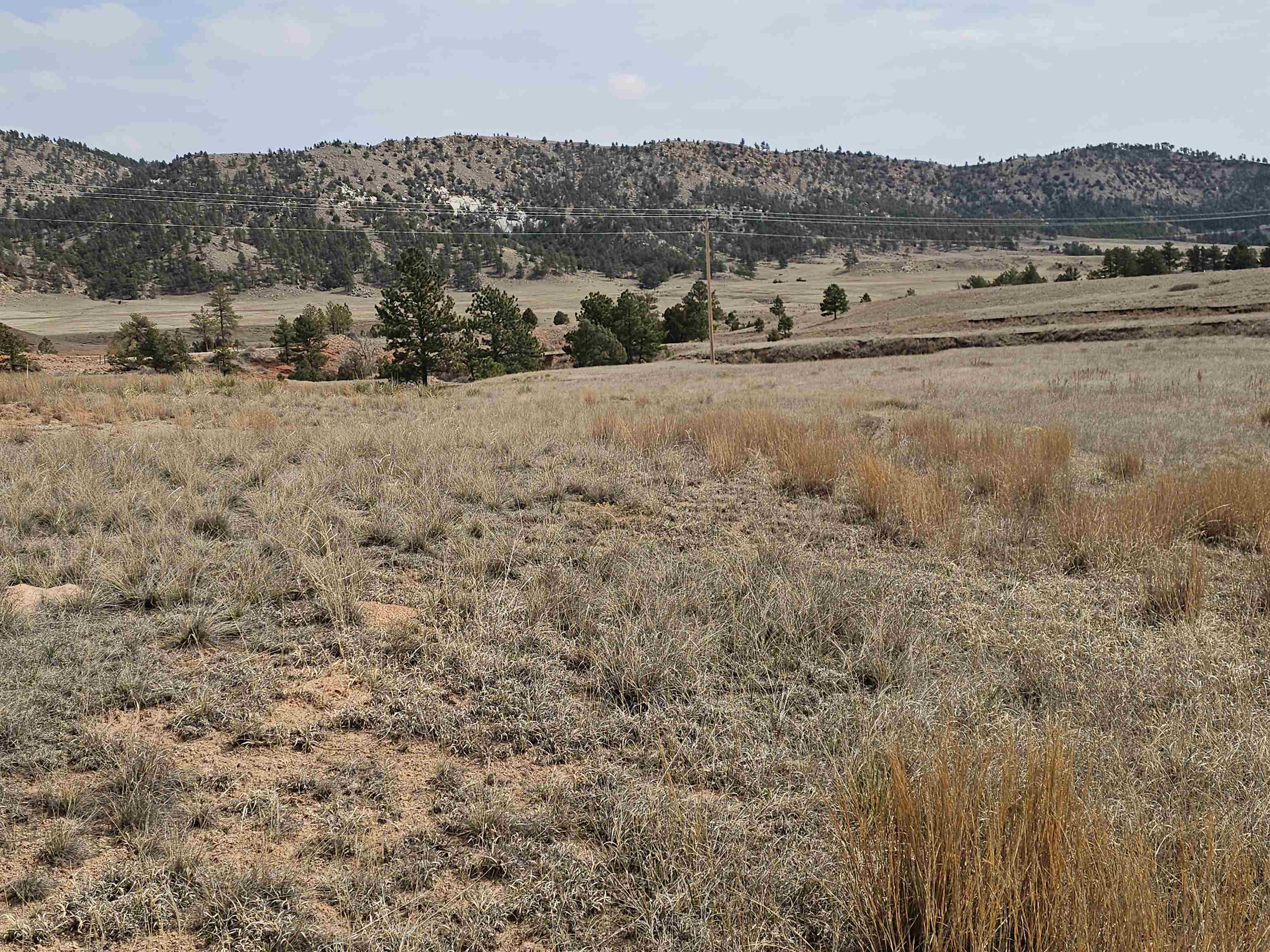 Lot 3b Sheps Heights Road Property Photo 9