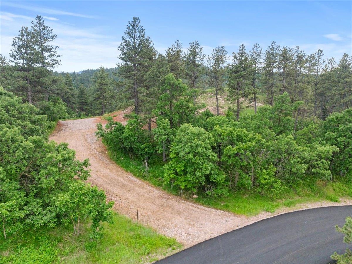 253 Pine Cone Avenue Property Photo 2