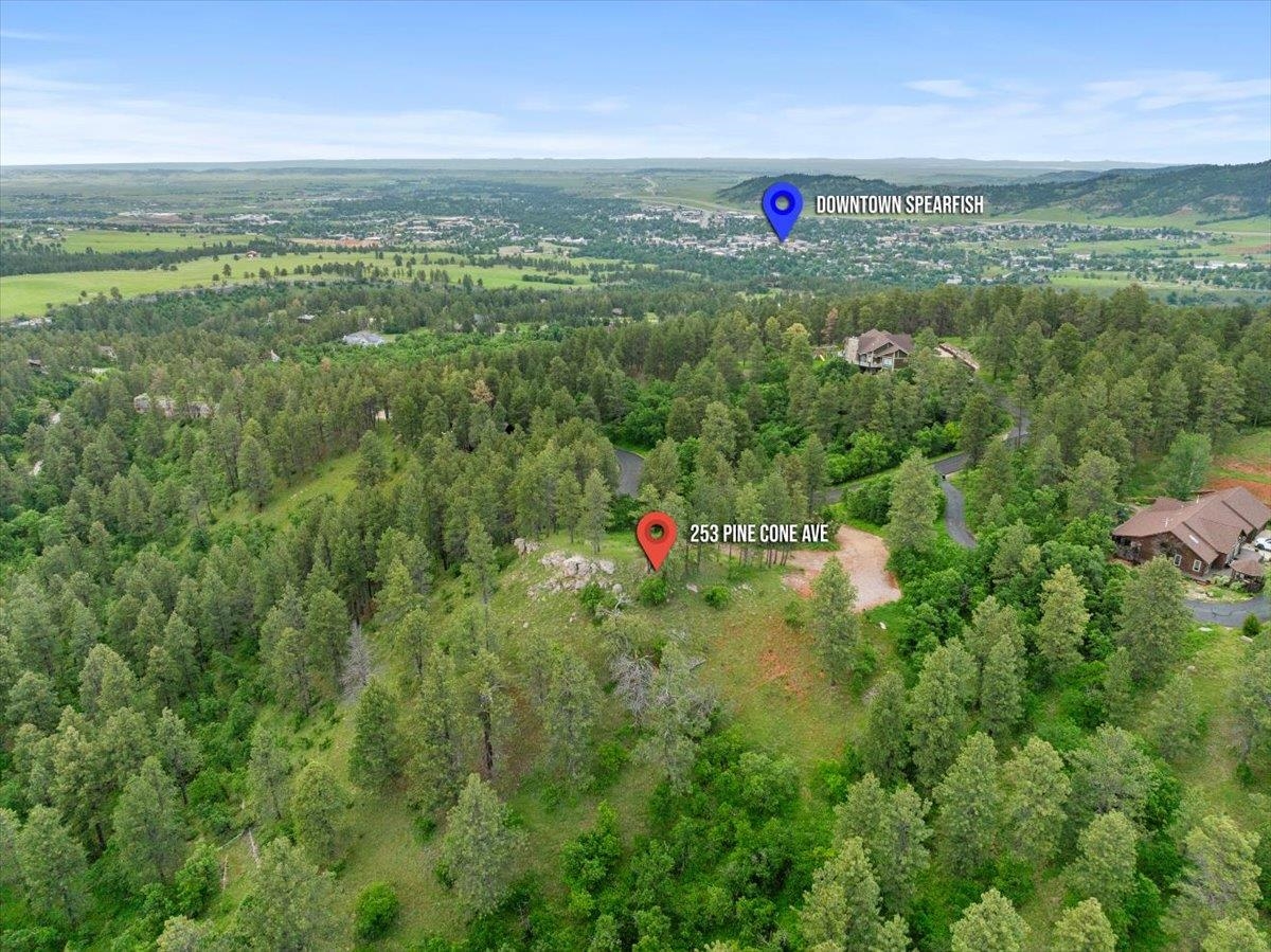 253 Pine Cone Avenue Property Photo 3