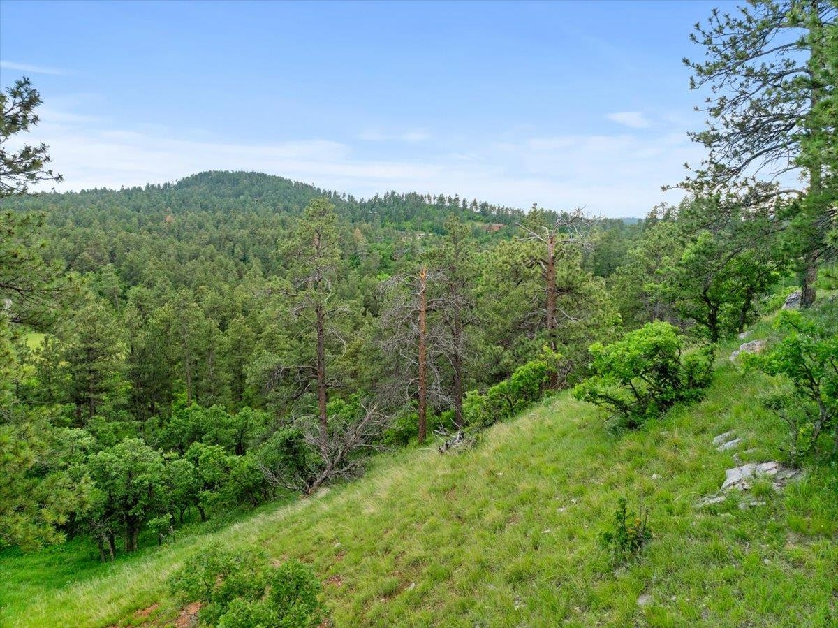 253 Pine Cone Avenue Property Photo 6