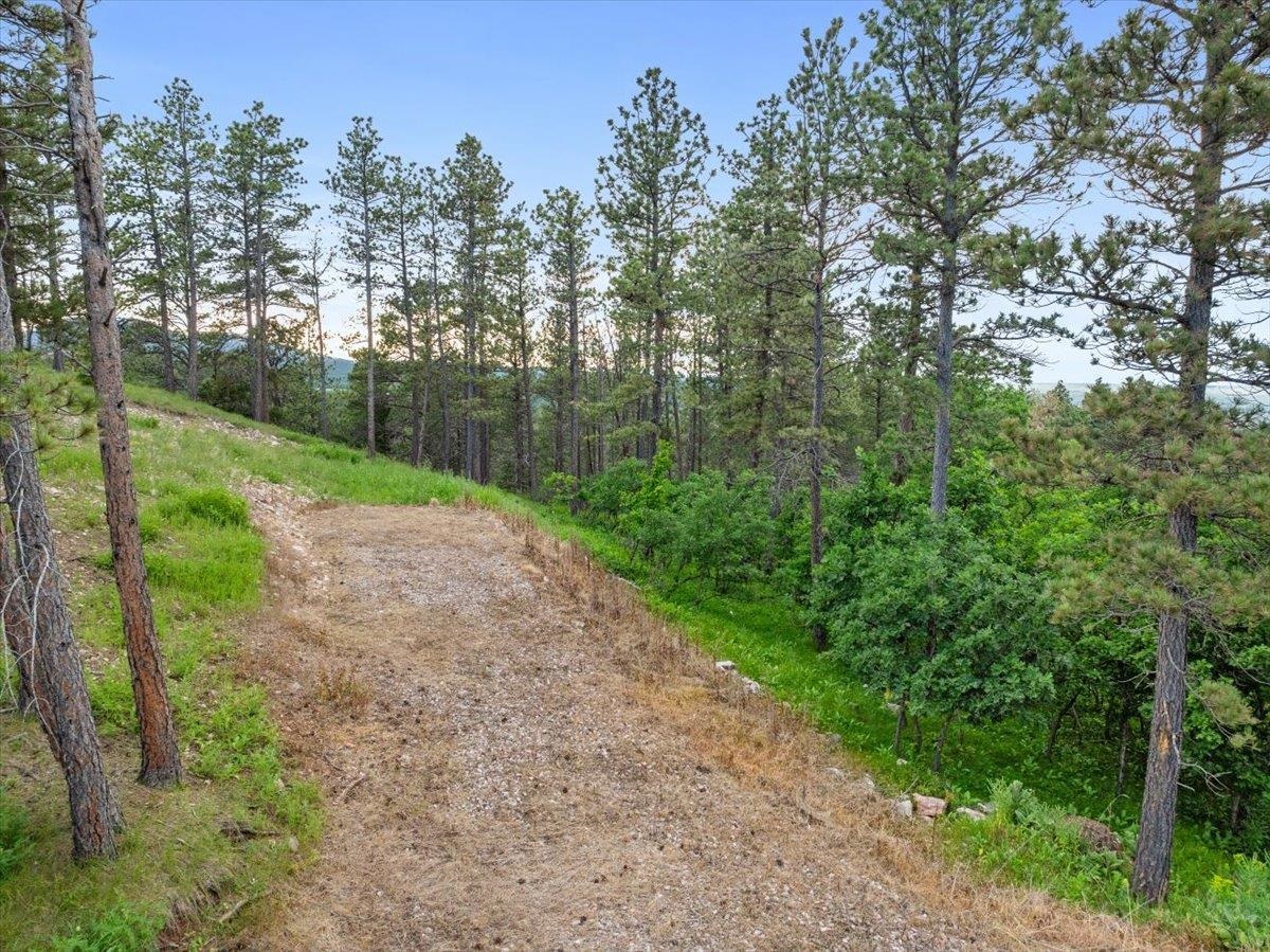 253 Pine Cone Avenue Property Photo 7
