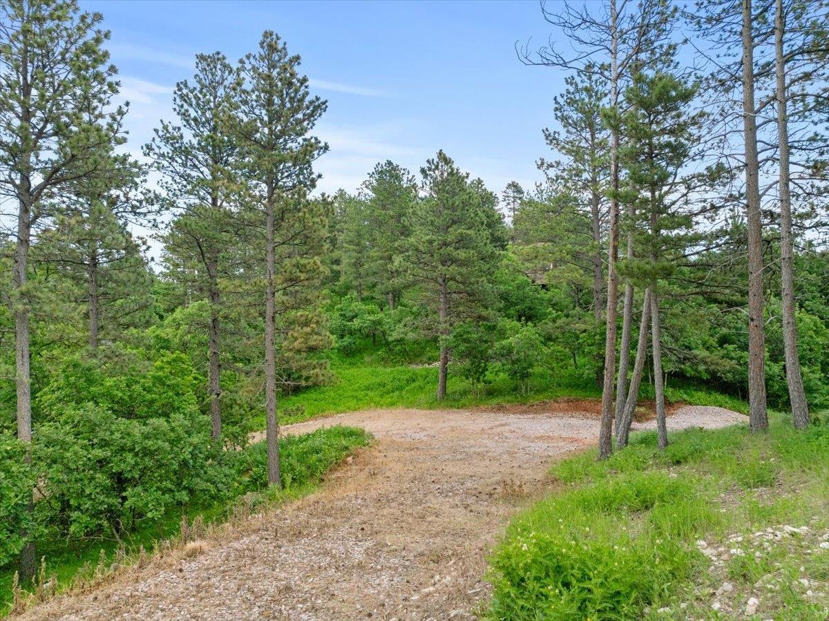 253 Pine Cone Avenue Property Photo 12