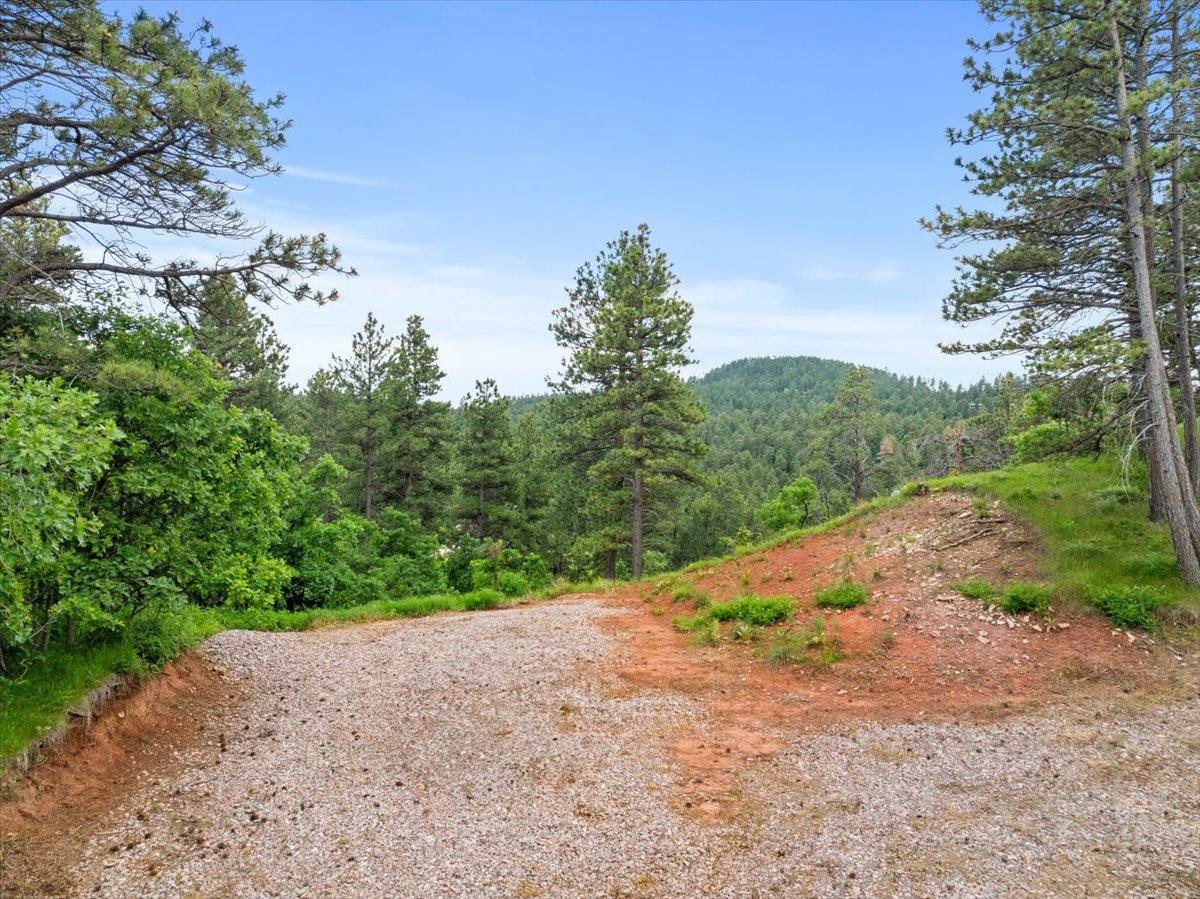 253 Pine Cone Avenue Property Photo 13