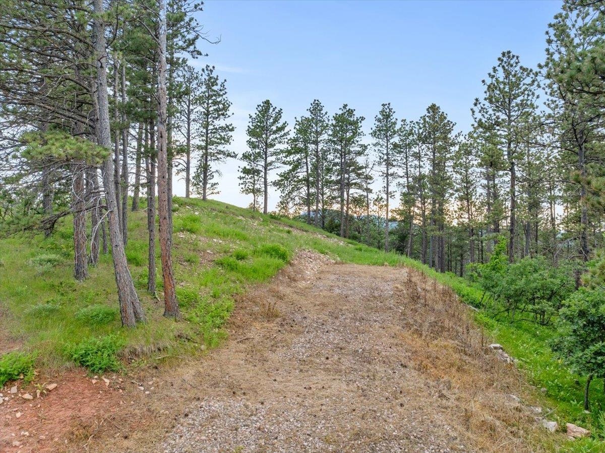 253 Pine Cone Avenue Property Photo 14