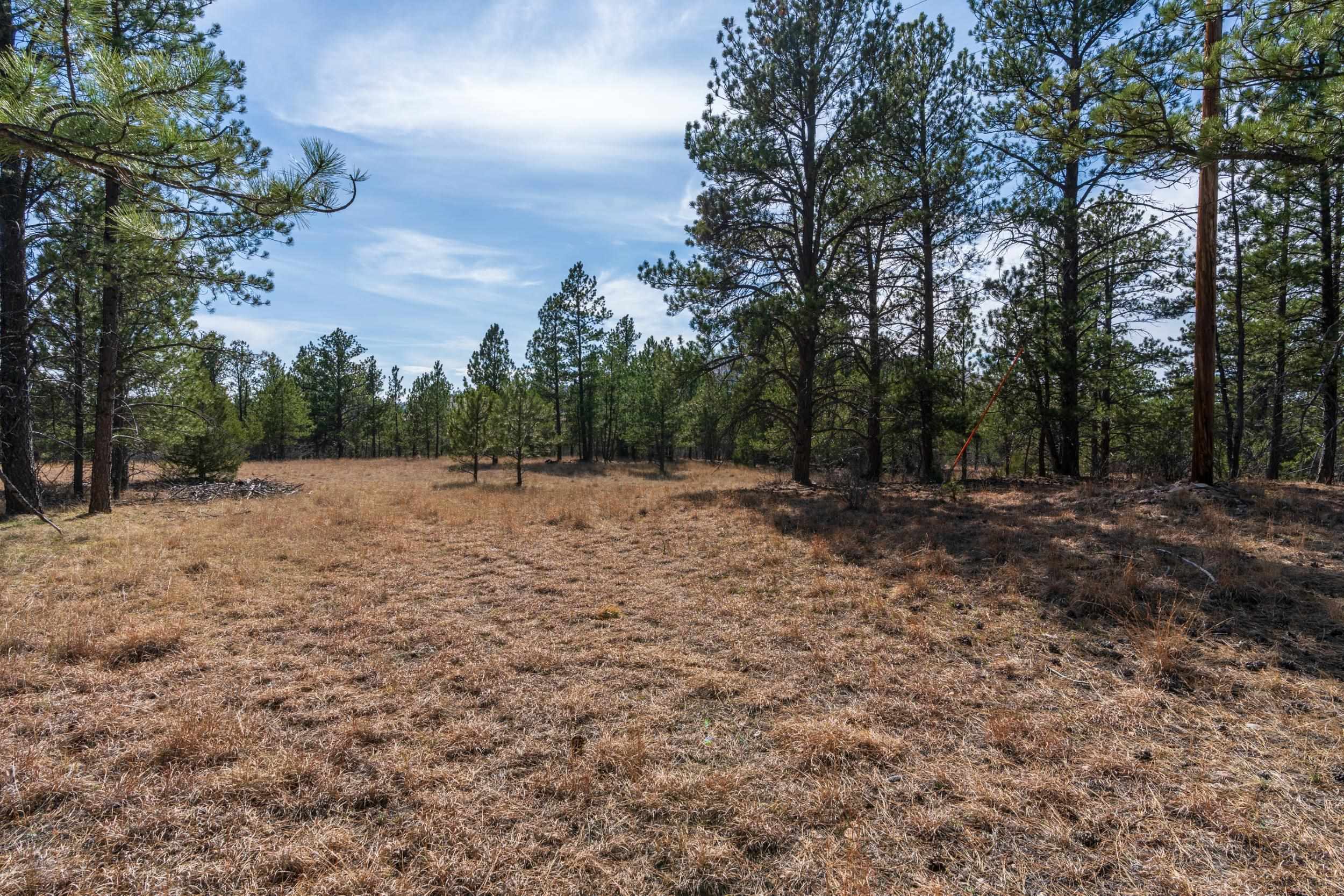 Tbd Highway 16 Property Photo 24