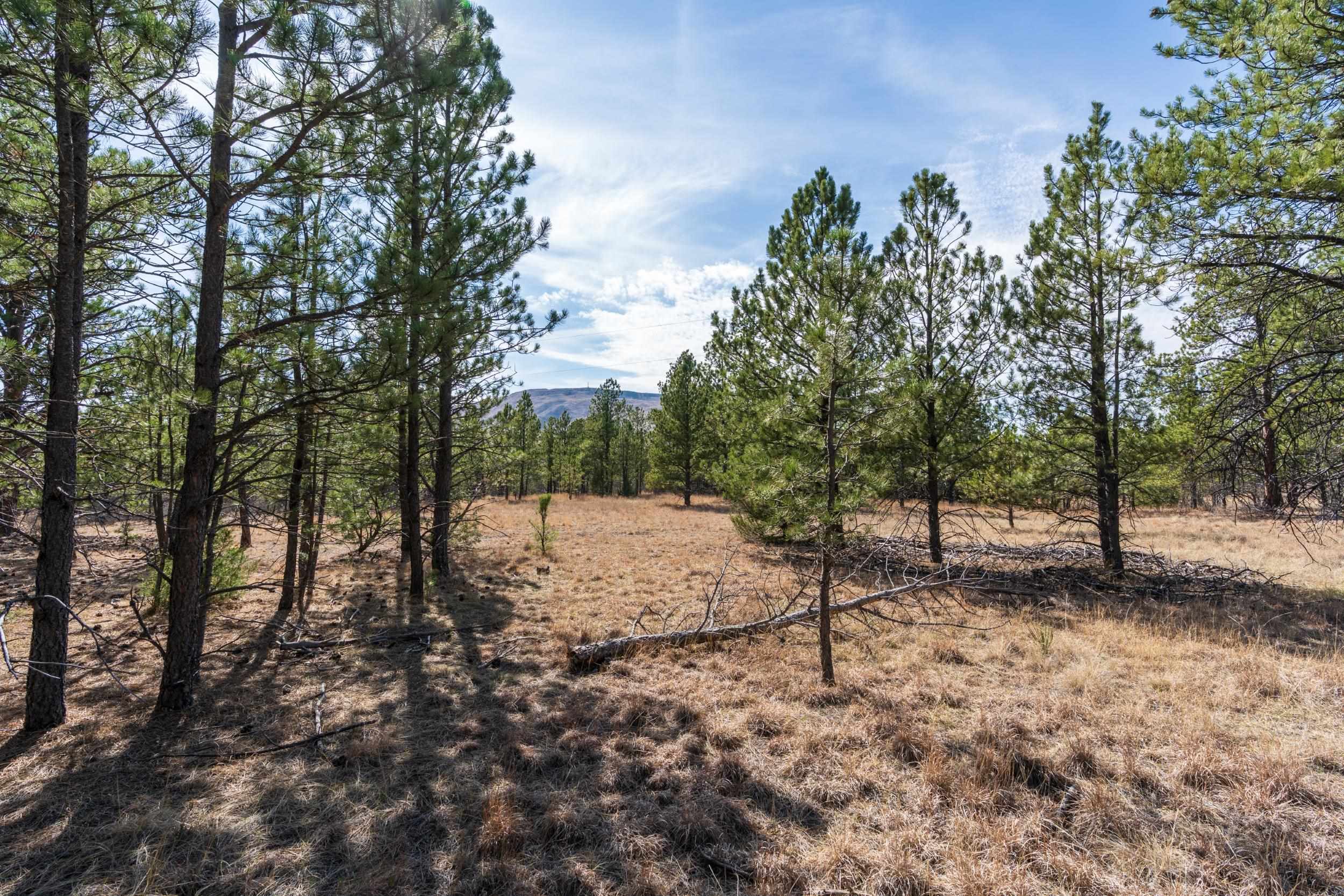 Tbd Highway 16 Property Photo 25