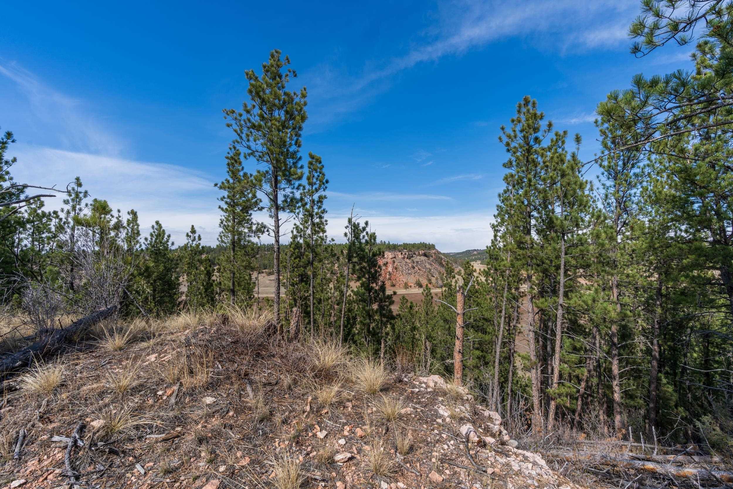 Tbd Highway 16 Property Photo 30