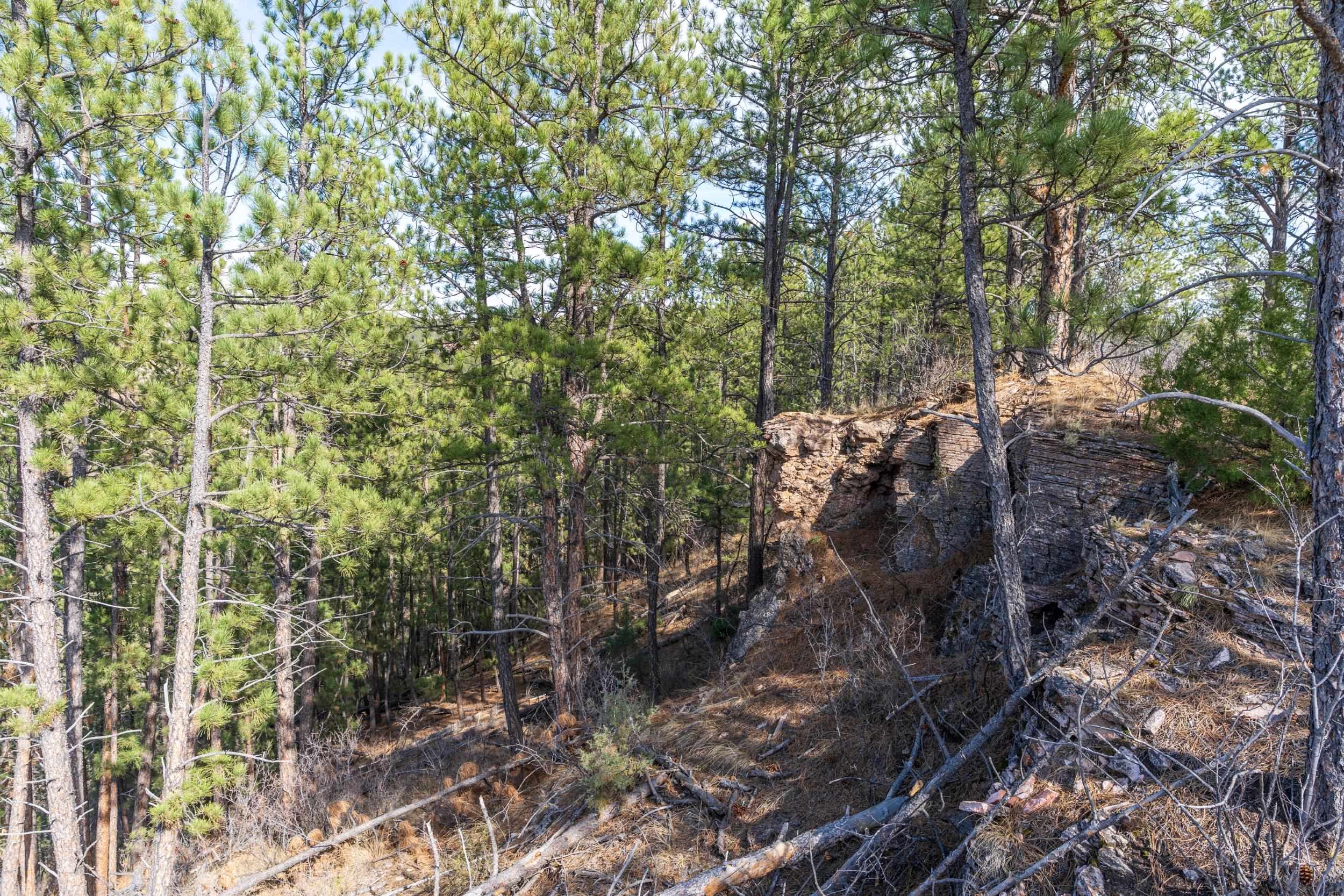 Tbd Highway 16 Property Photo 31