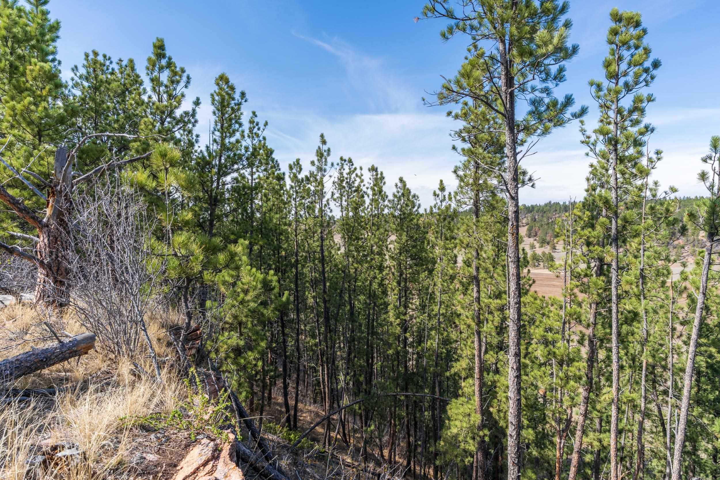 Tbd Highway 16 Property Photo 32