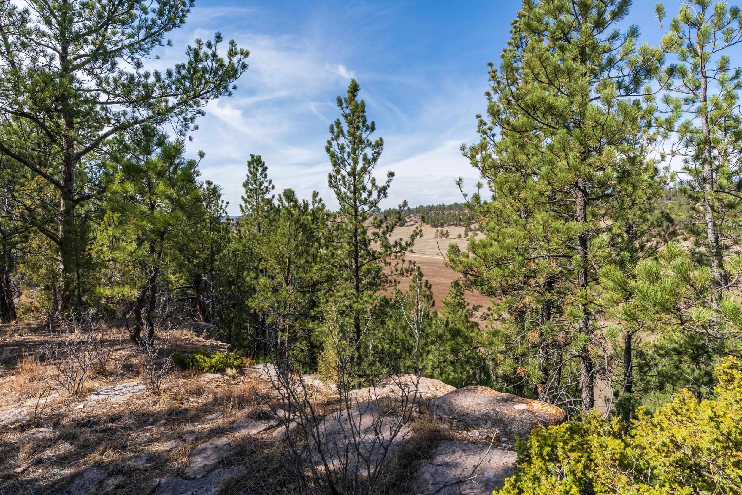 Tbd Highway 16 Property Photo 33