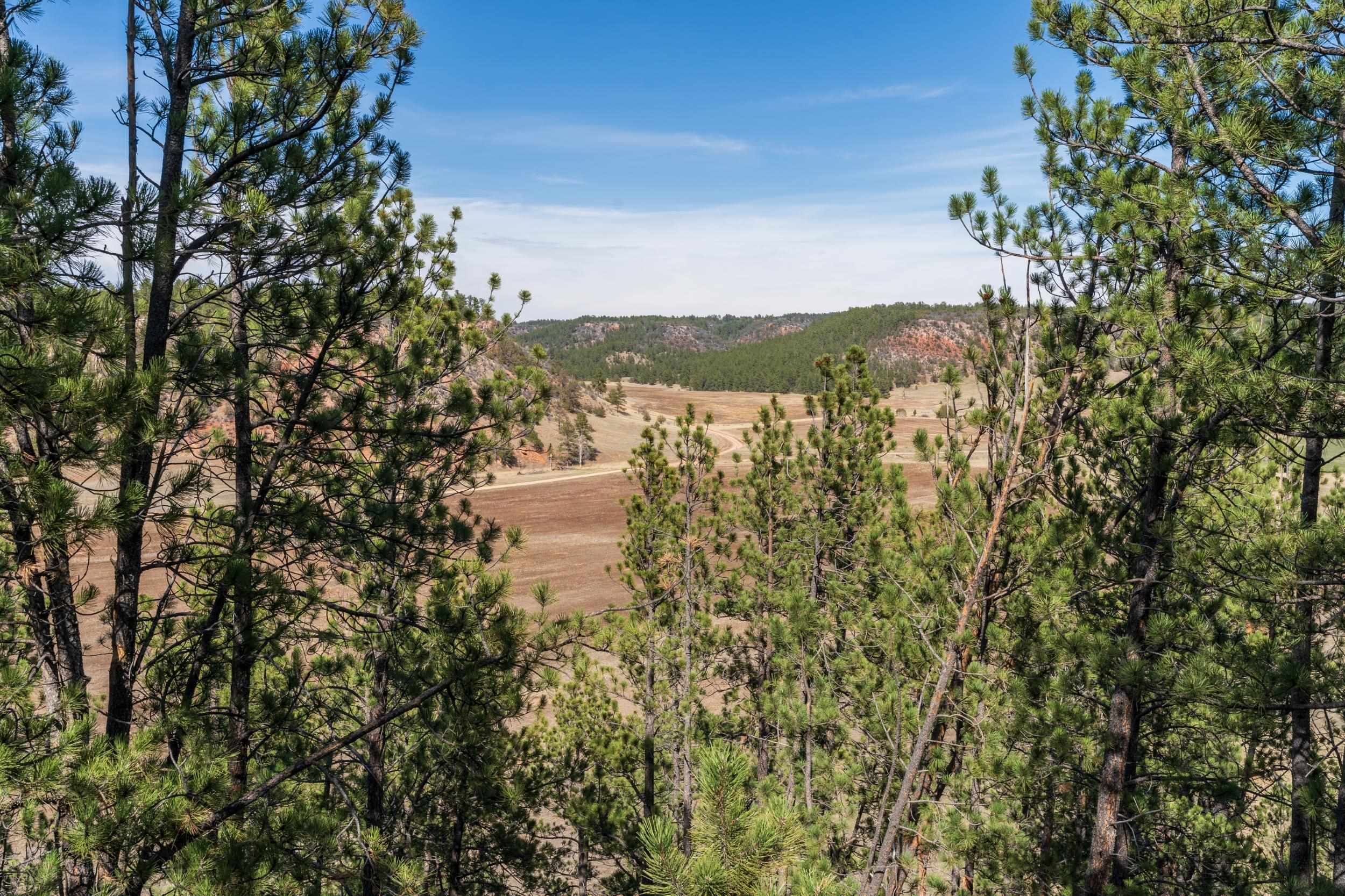Tbd Highway 16 Property Photo 35