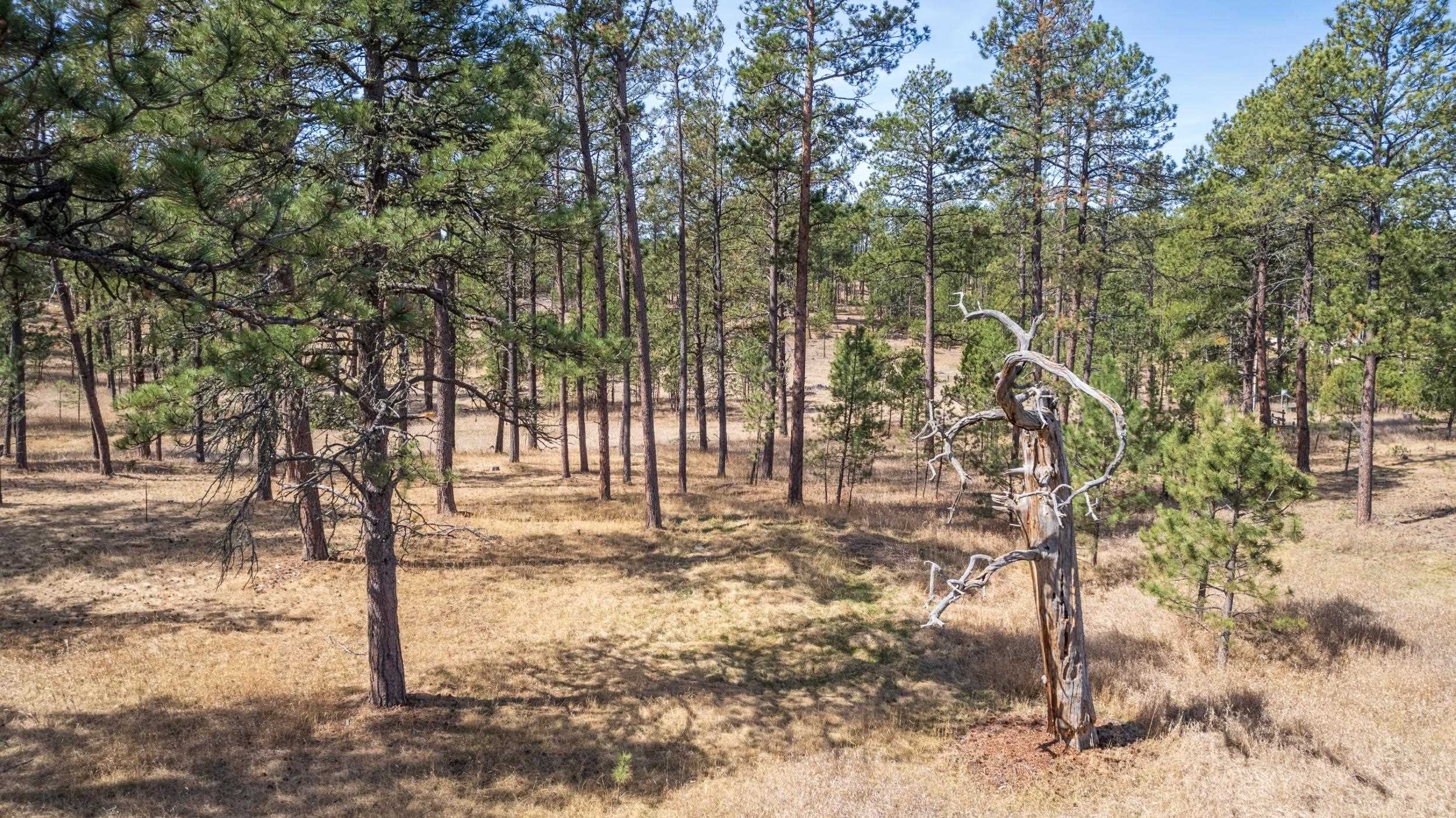 Tbd Beaver Lake Road Property Photo 11
