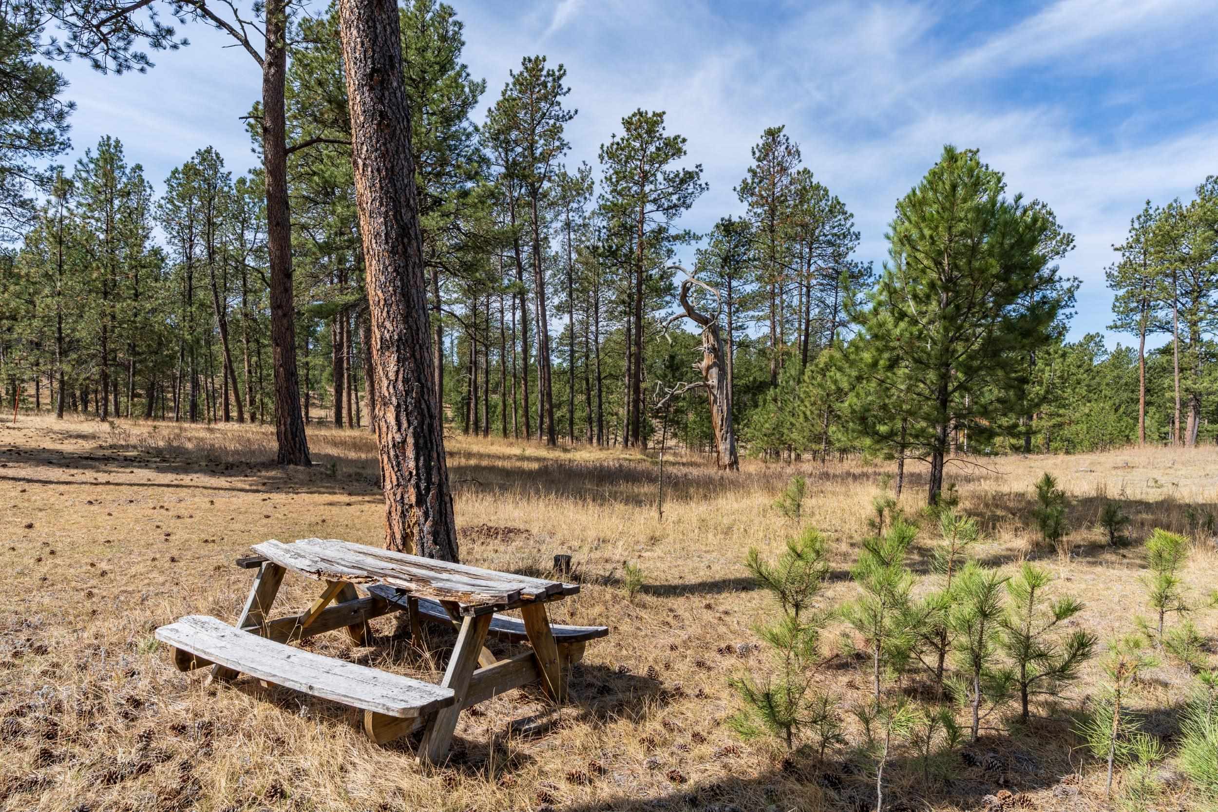 Tbd Beaver Lake Road Property Photo 12