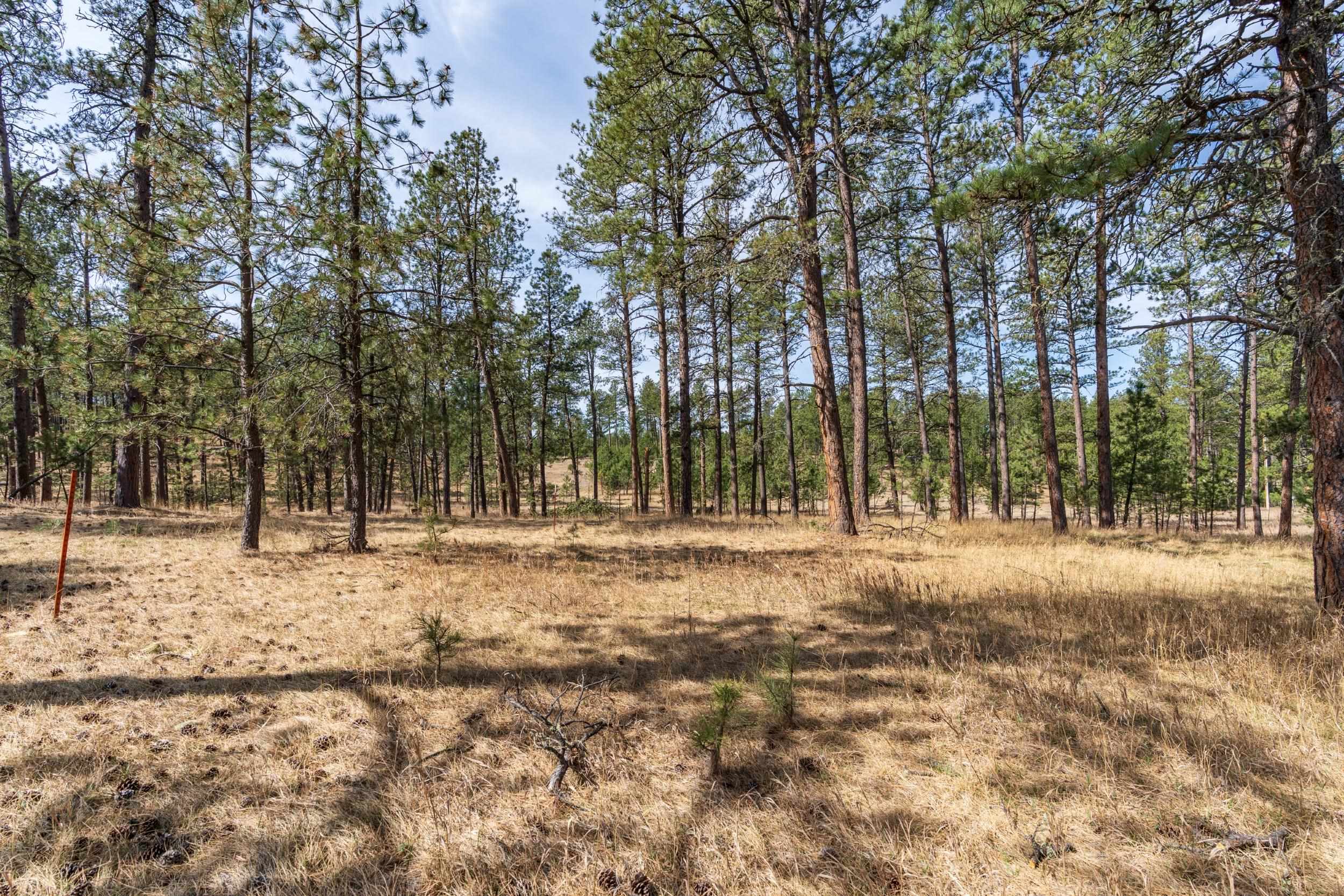 Tbd Beaver Lake Road Property Photo 13