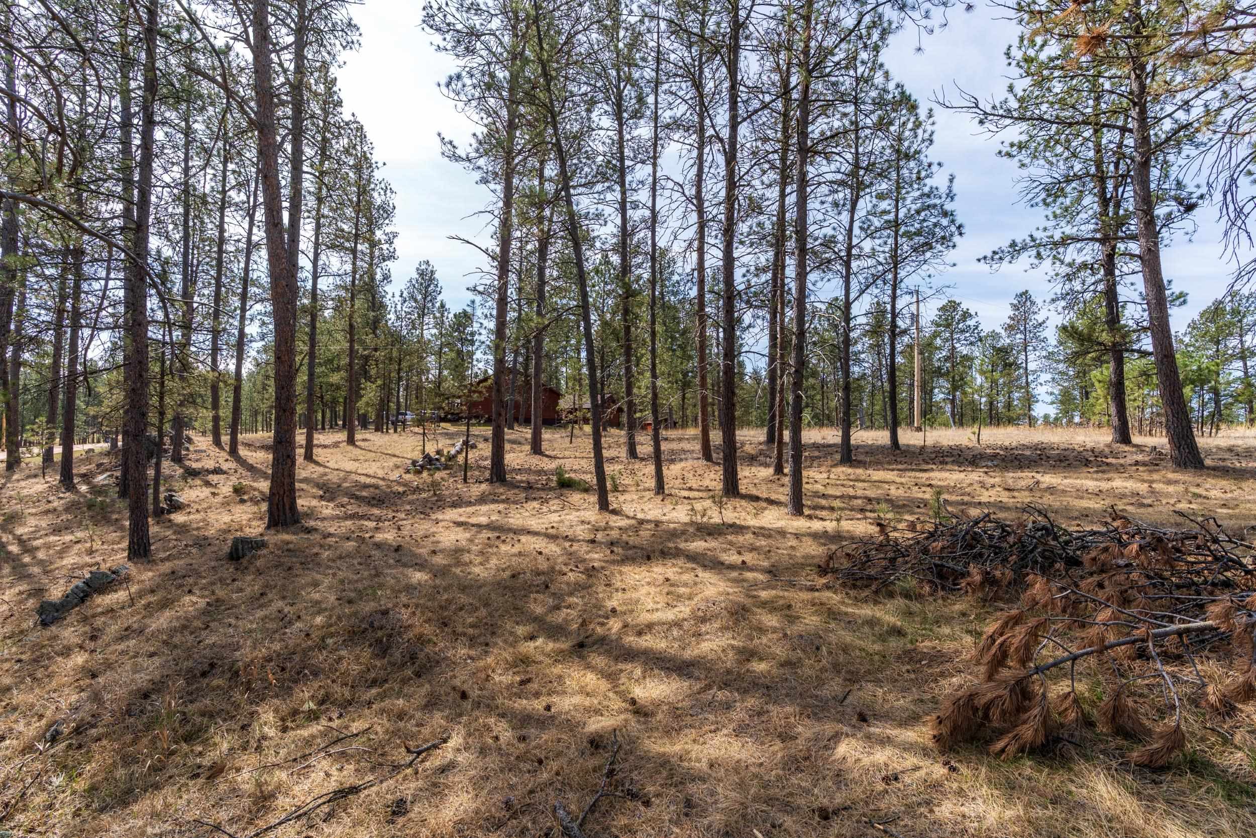 Tbd Beaver Lake Road Property Photo 15