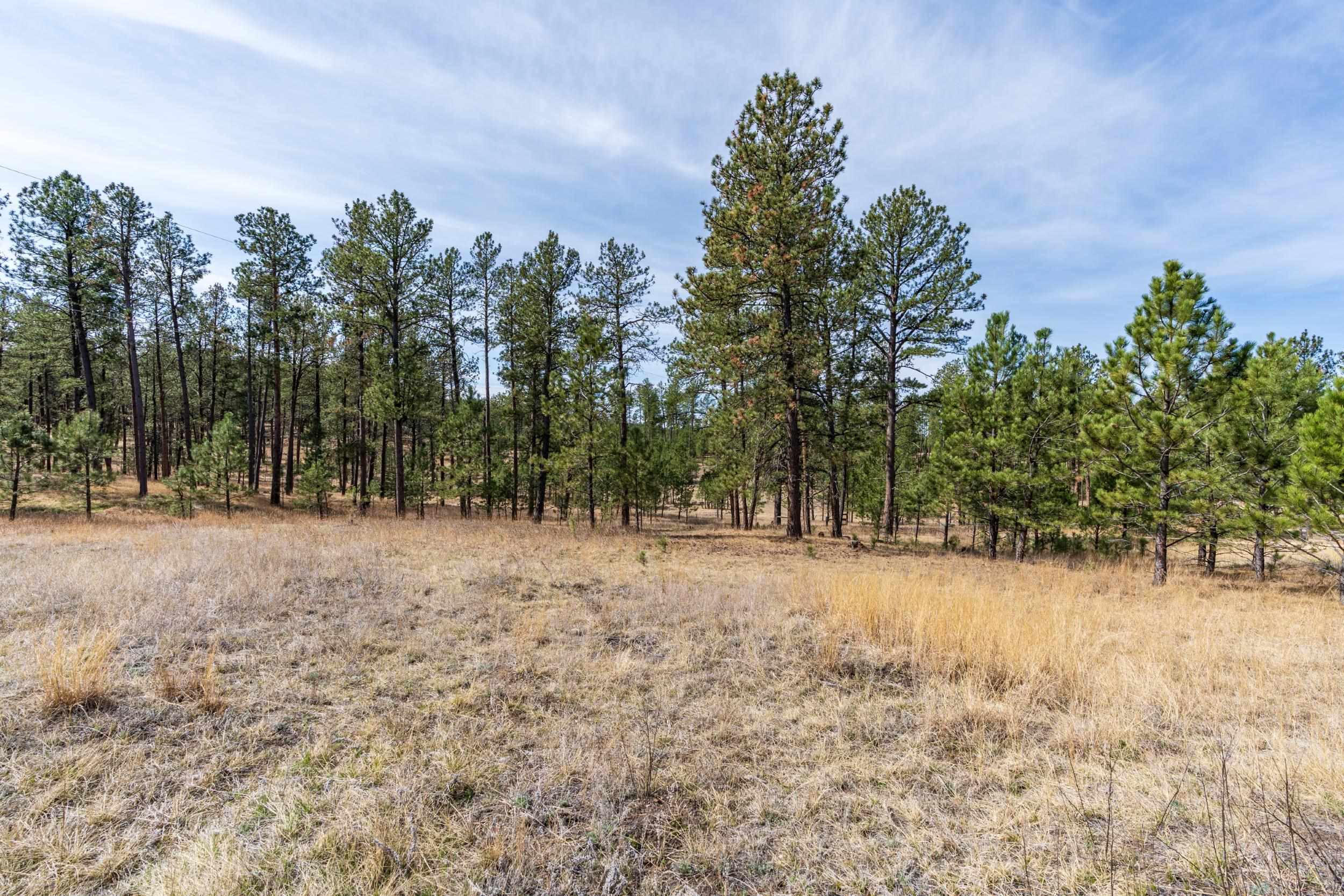 Tbd Beaver Lake Road Property Photo 17