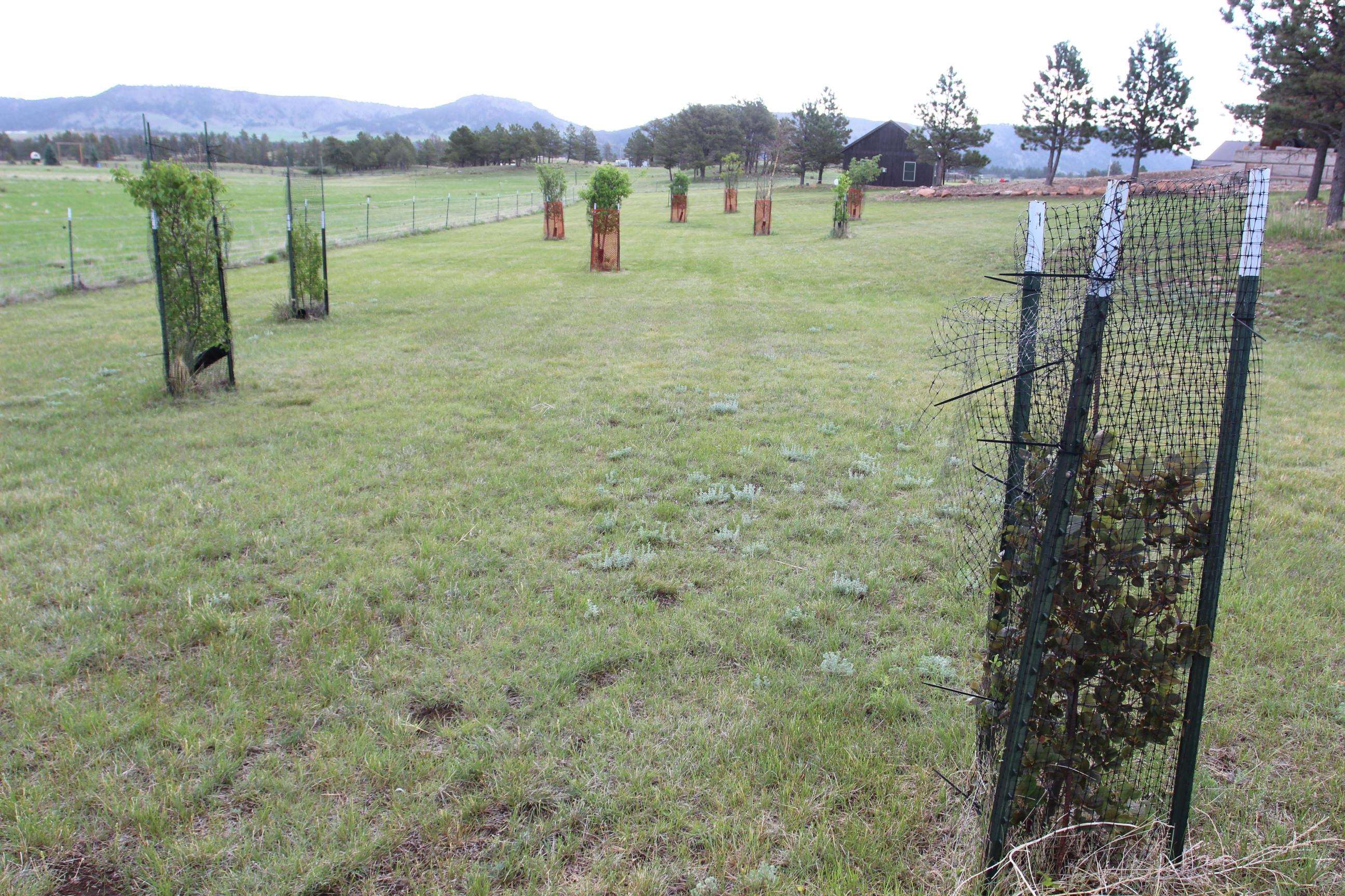 27909 Lariat Circle Property Photo 43