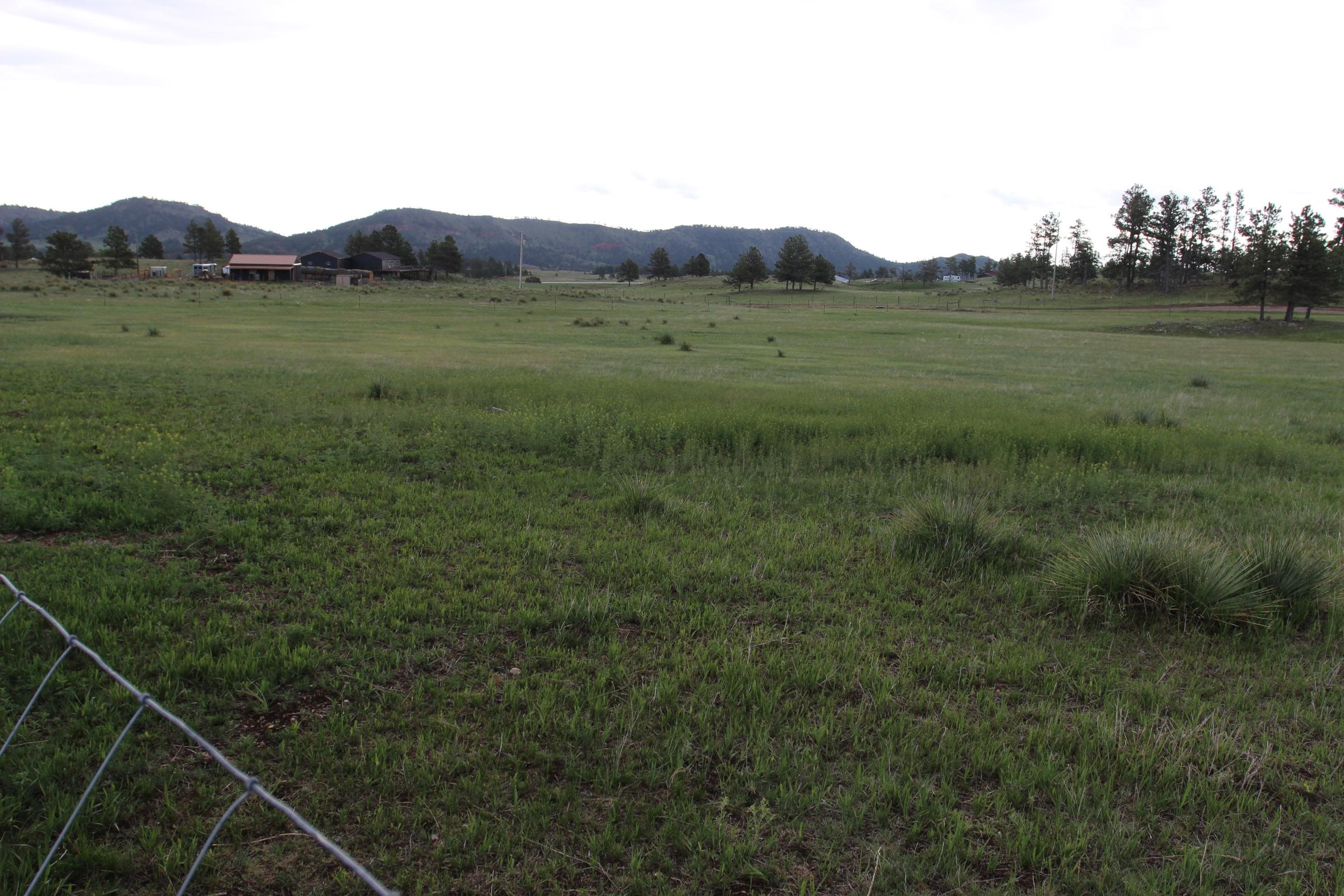 27909 Lariat Circle Property Photo 46