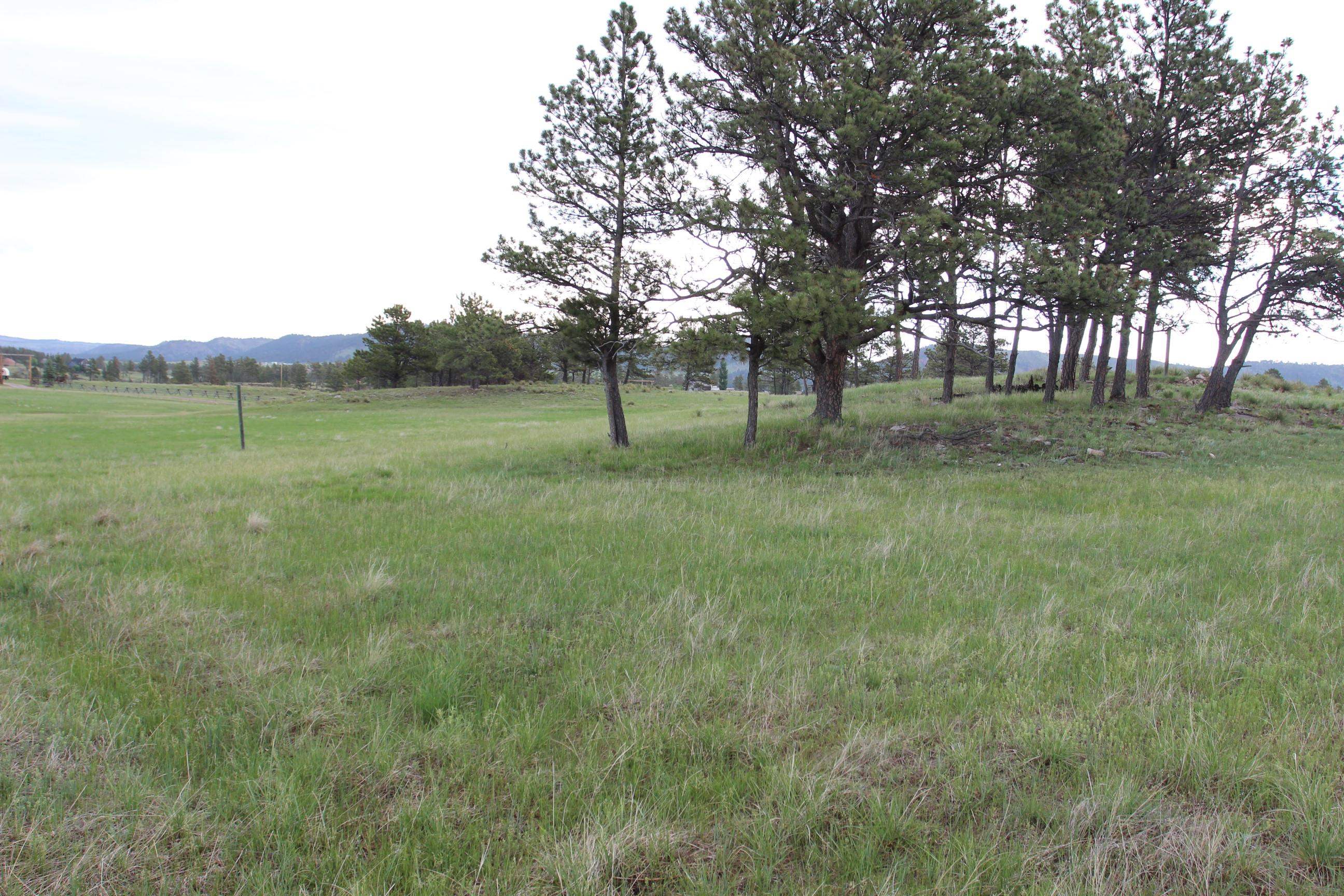 27909 Lariat Circle Property Photo 48