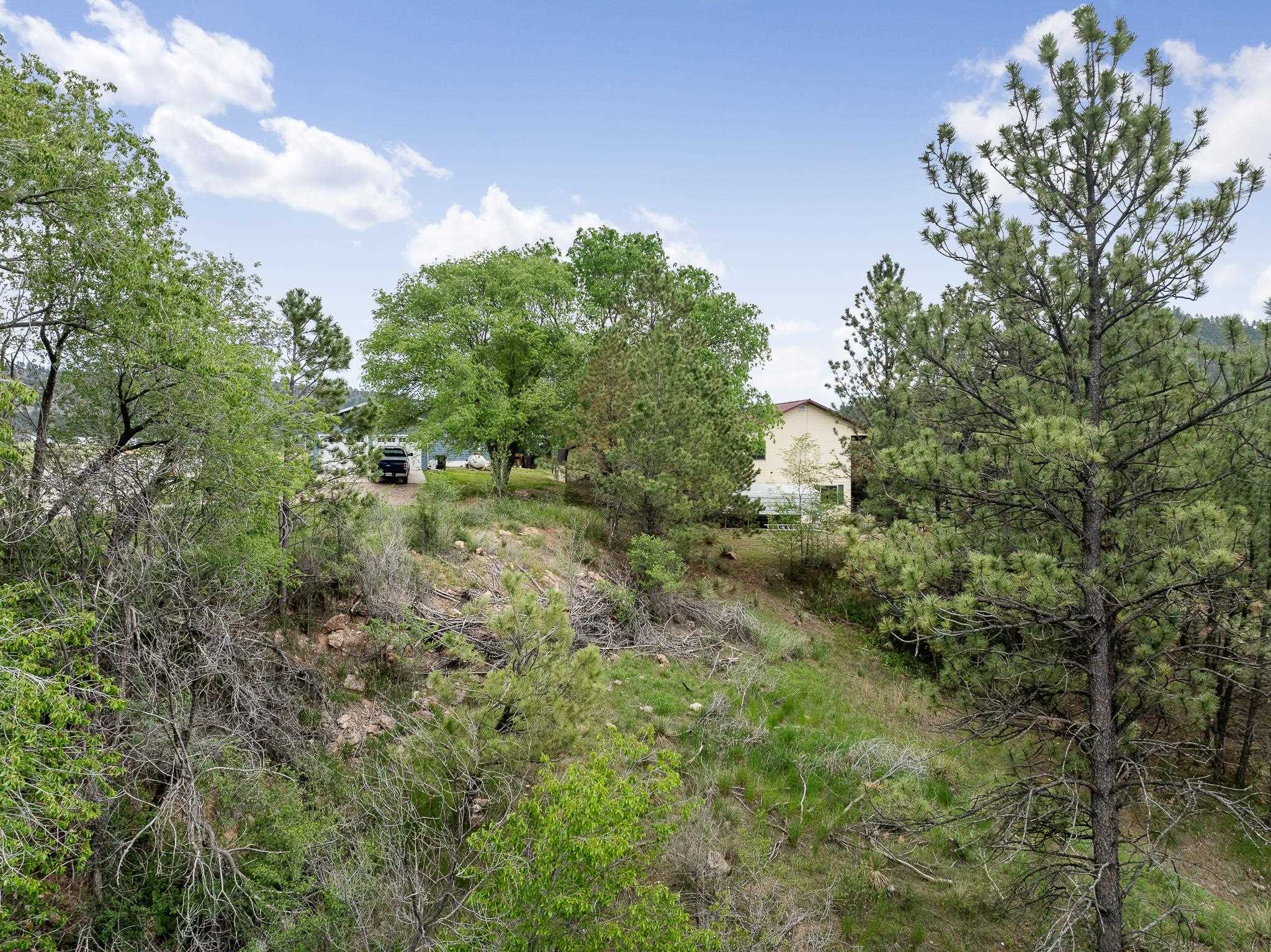 1401 Catholican Ave Property Photo 4