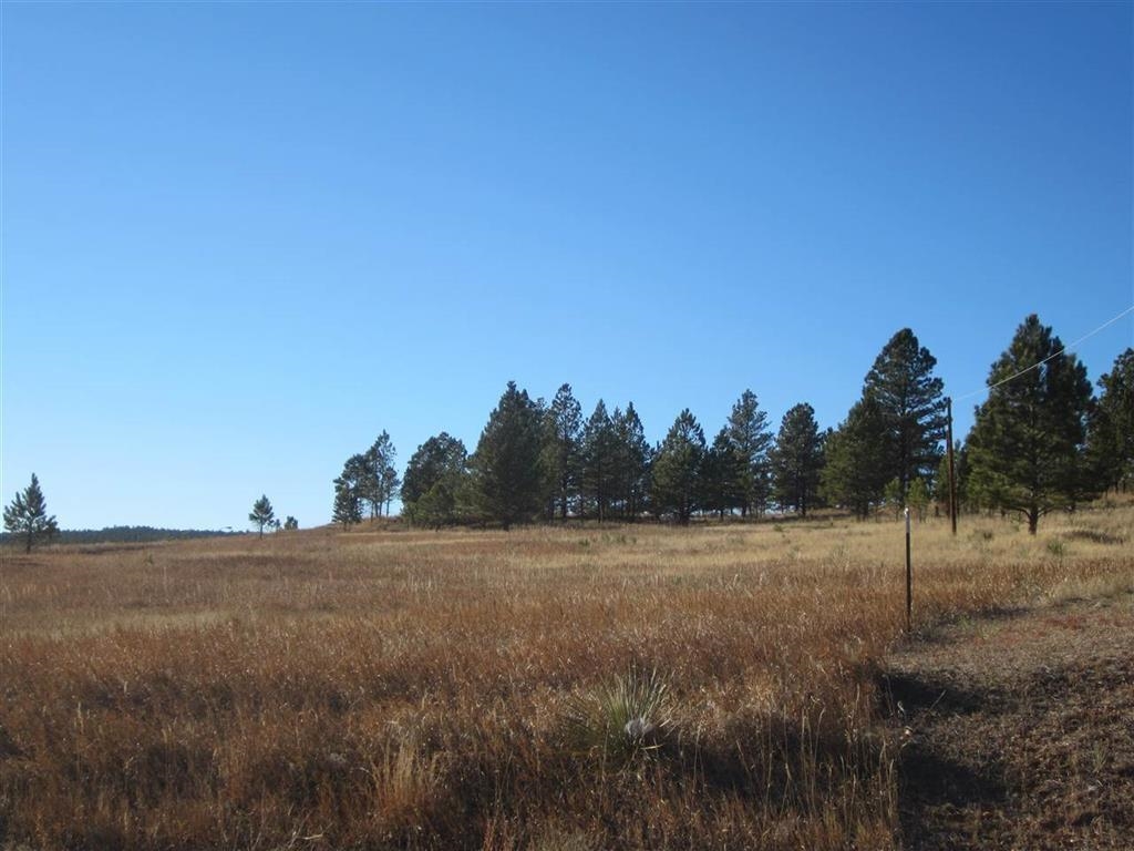 Tbd University Avenue Property Photo 3