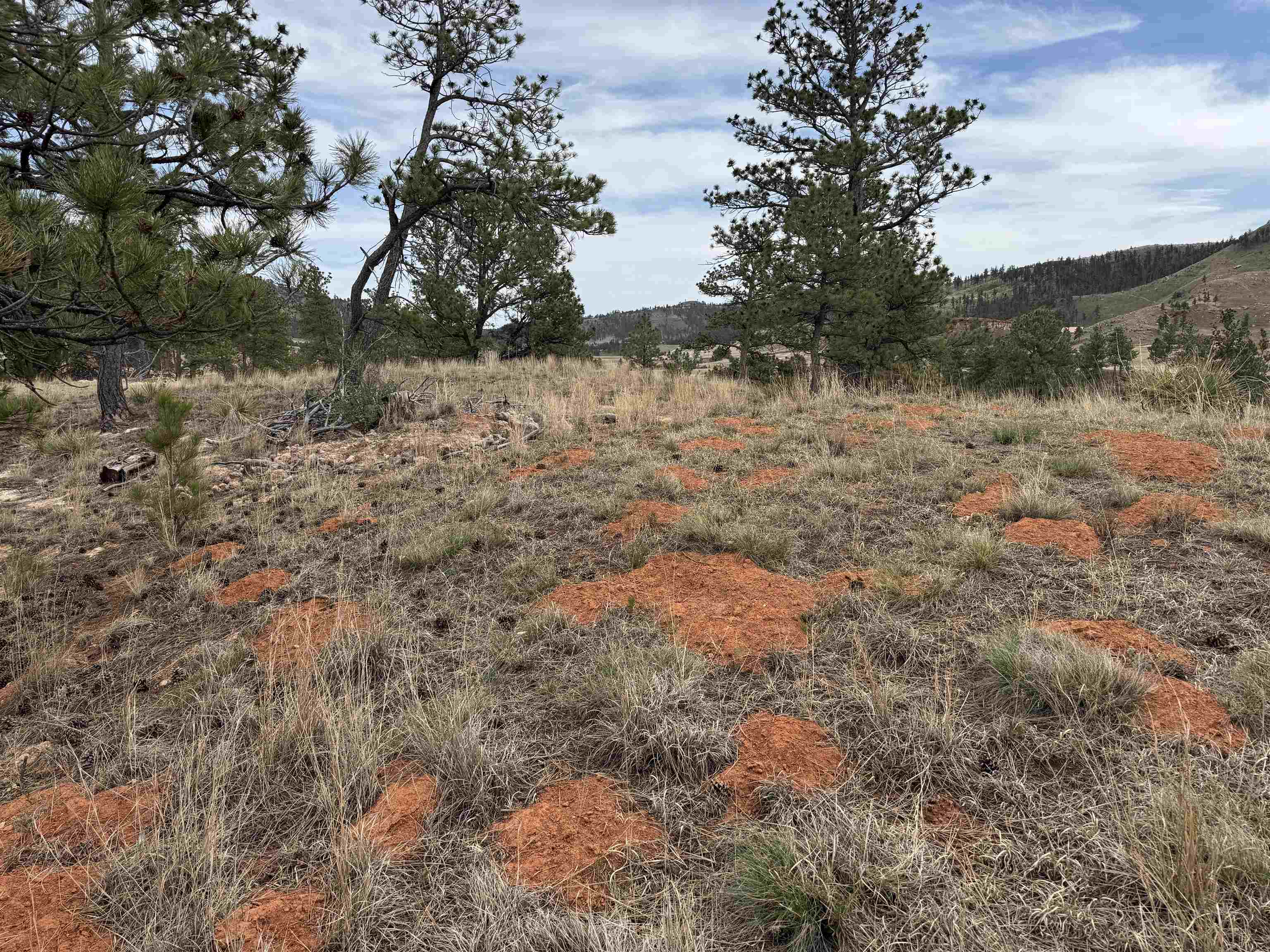 12707 Stardust Pass Property Photo 2