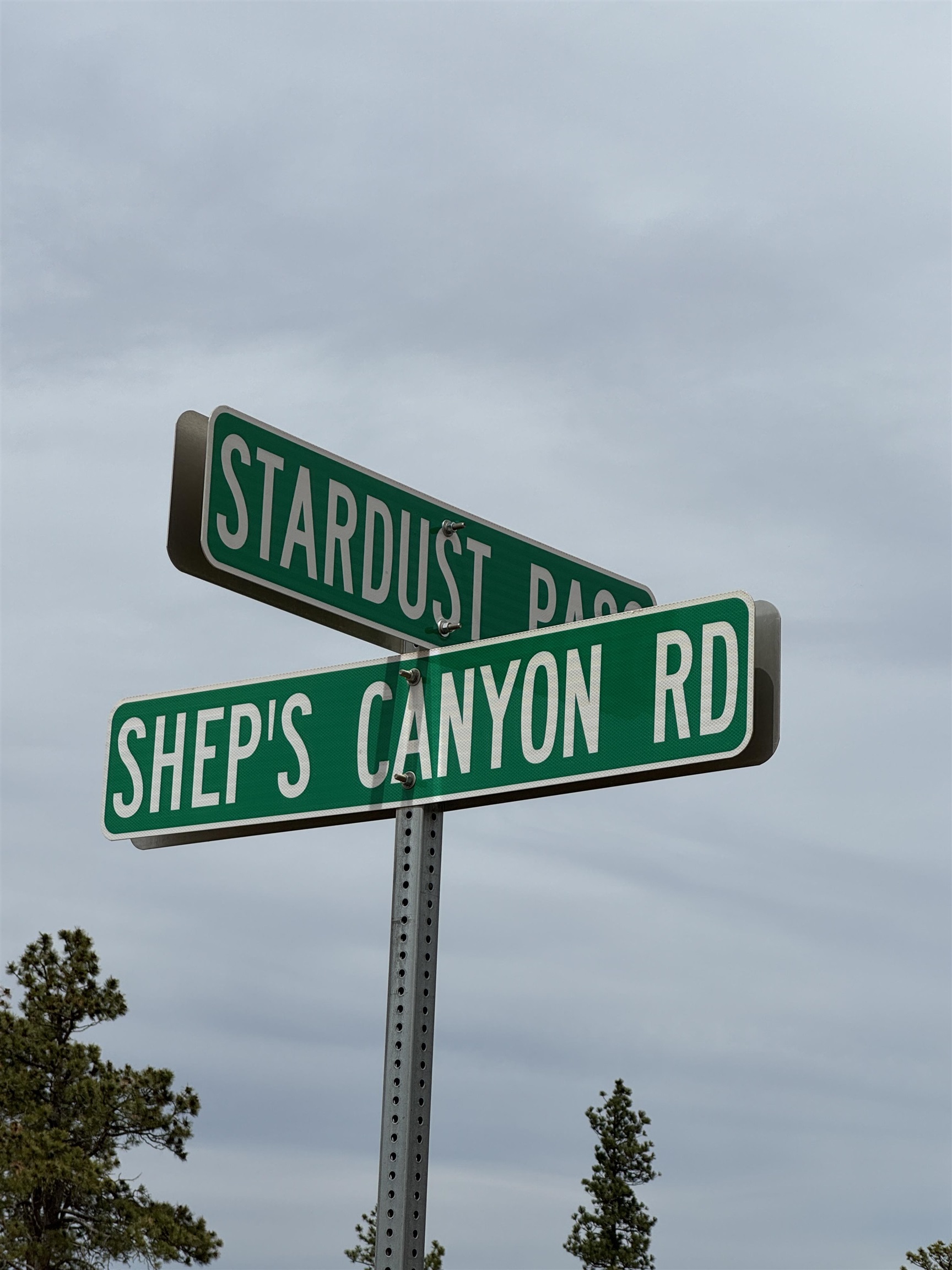 12707 Stardust Pass Property Photo 3