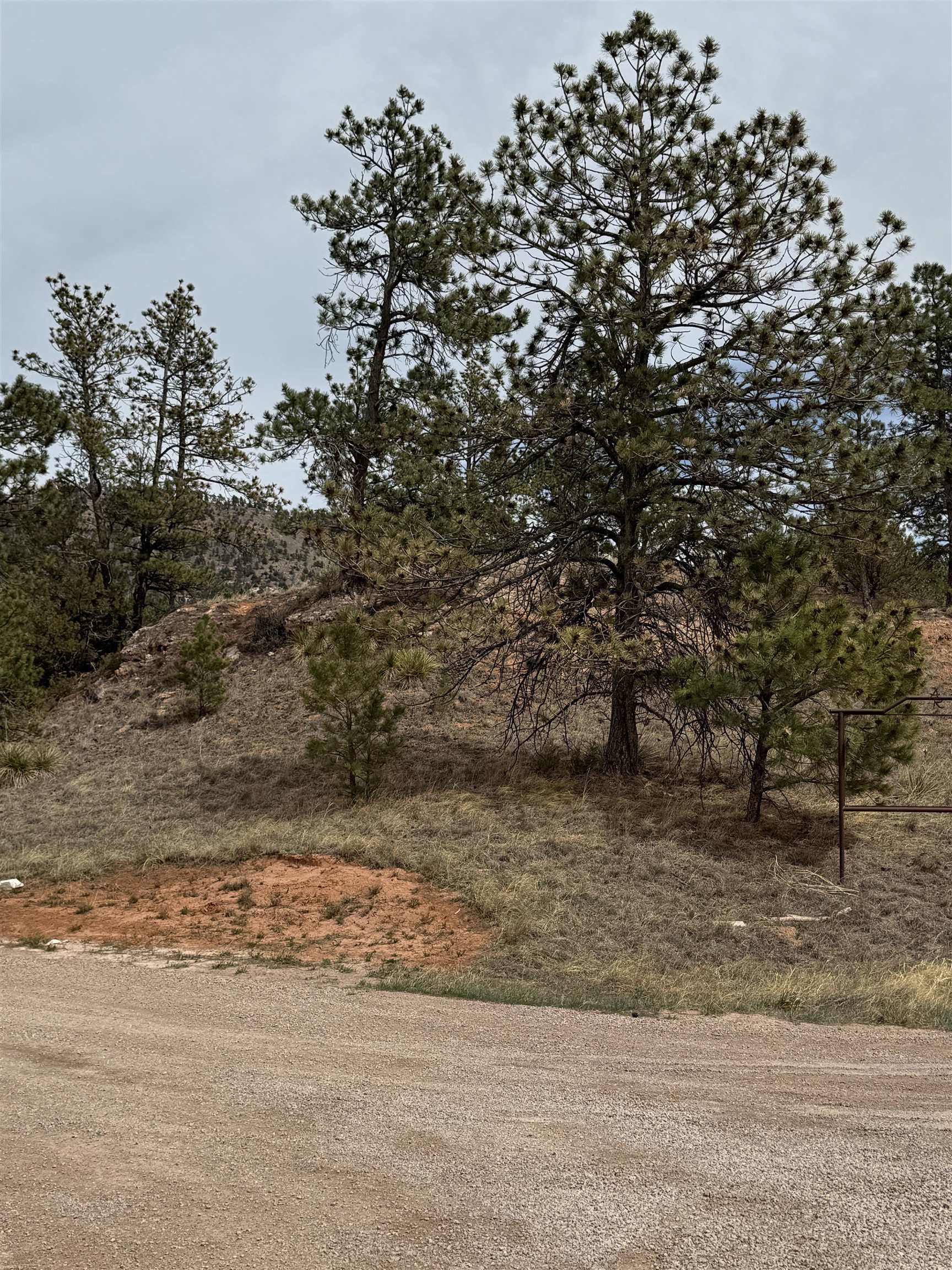 12707 Stardust Pass Property Photo 4