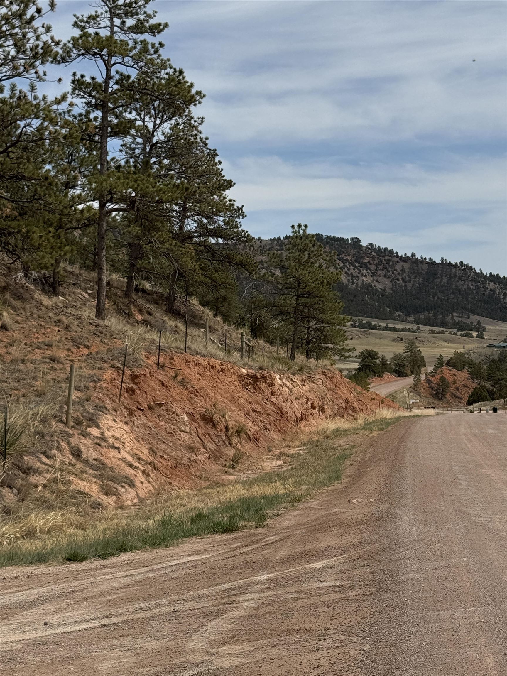 12707 Stardust Pass Property Photo 5