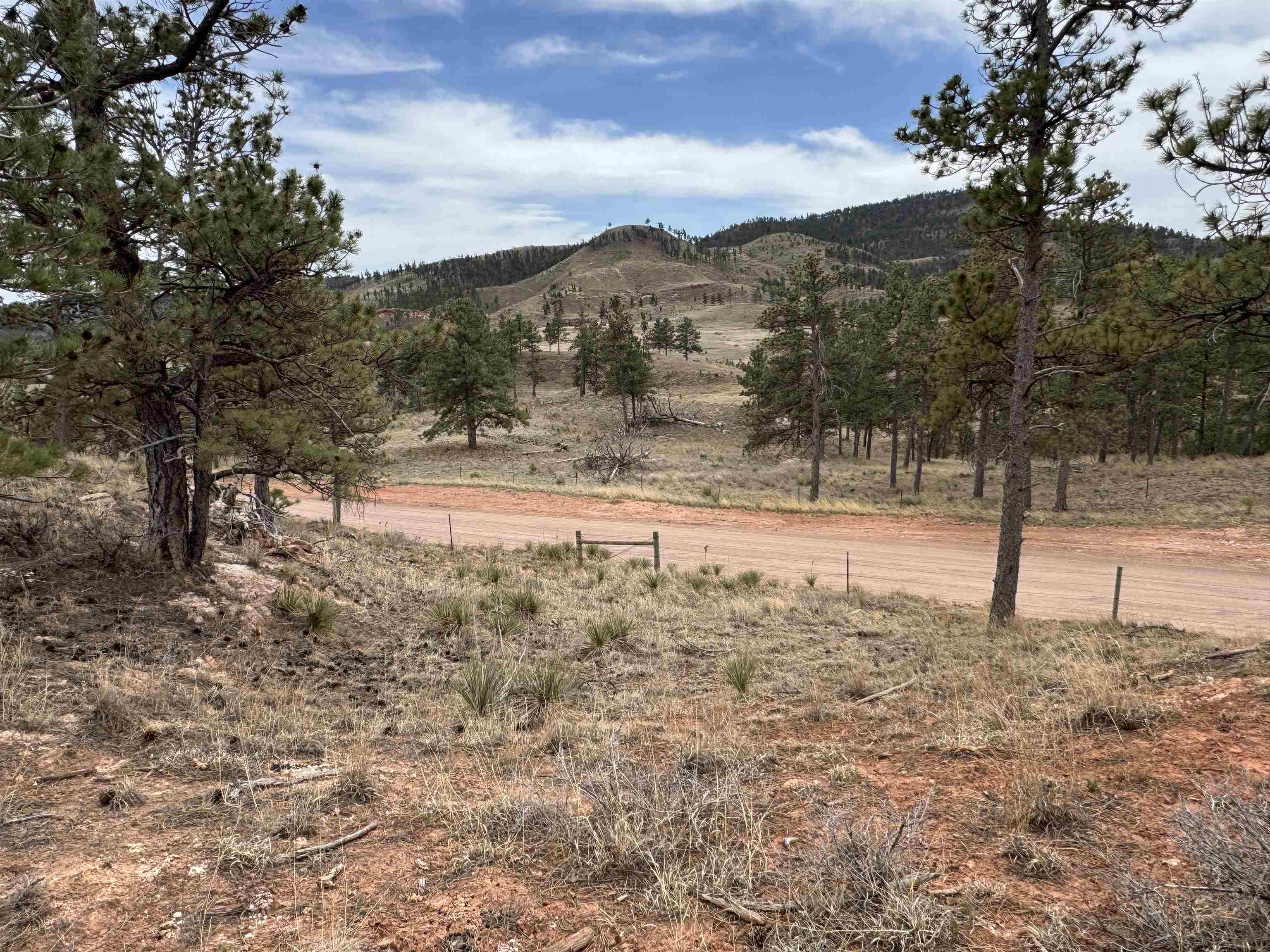 12707 Stardust Pass Property Photo 6