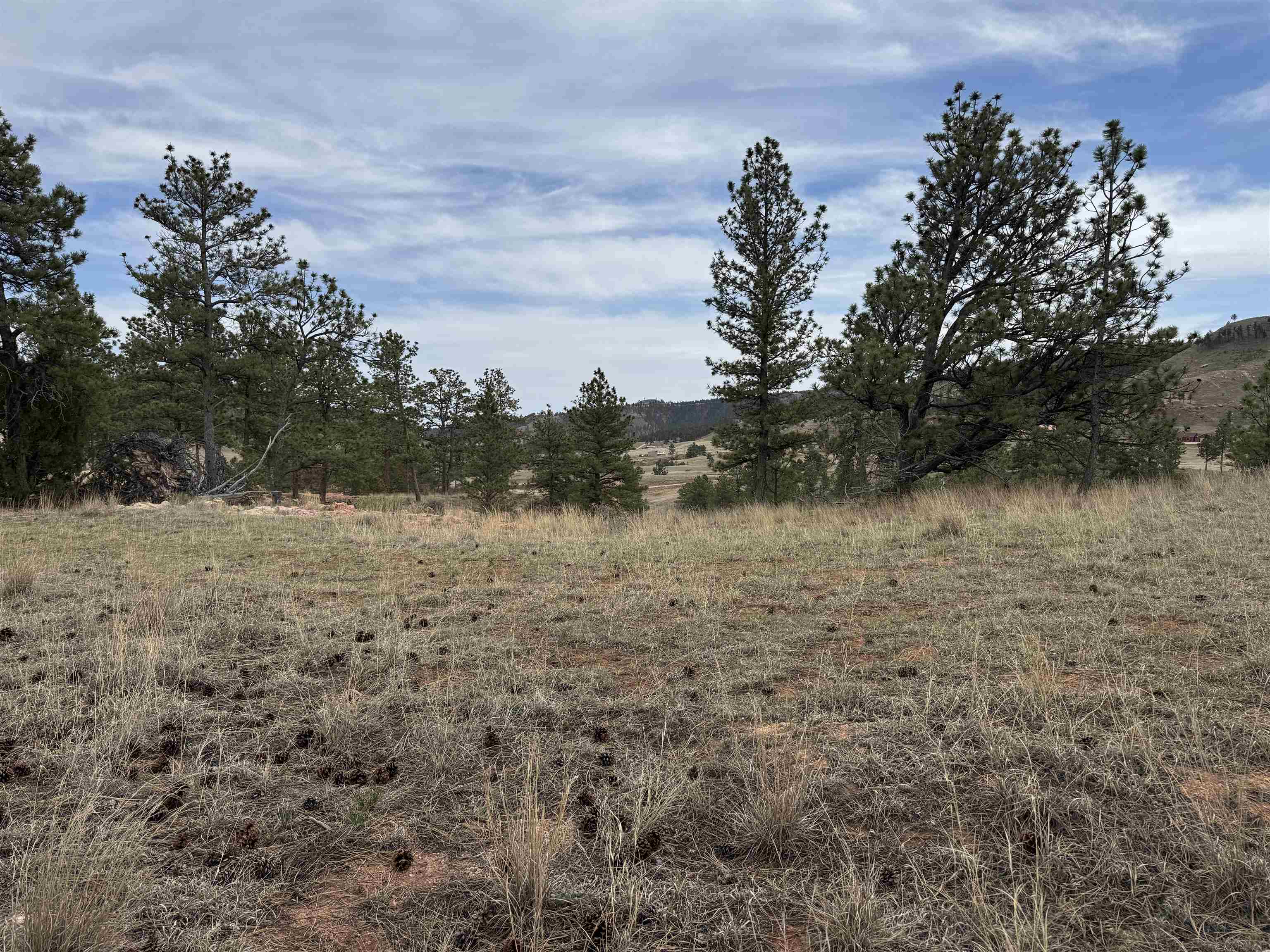 12707 Stardust Pass Property Photo 7