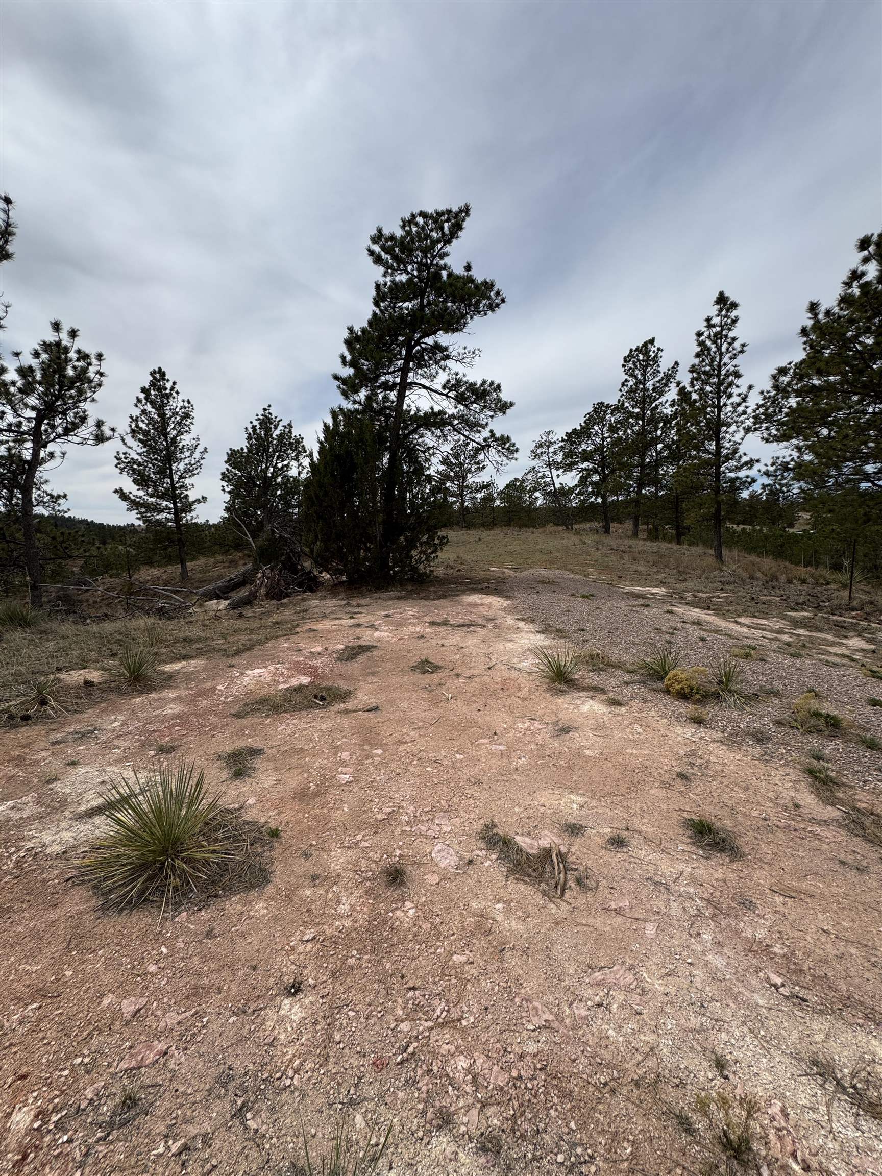 12707 Stardust Pass Property Photo 8