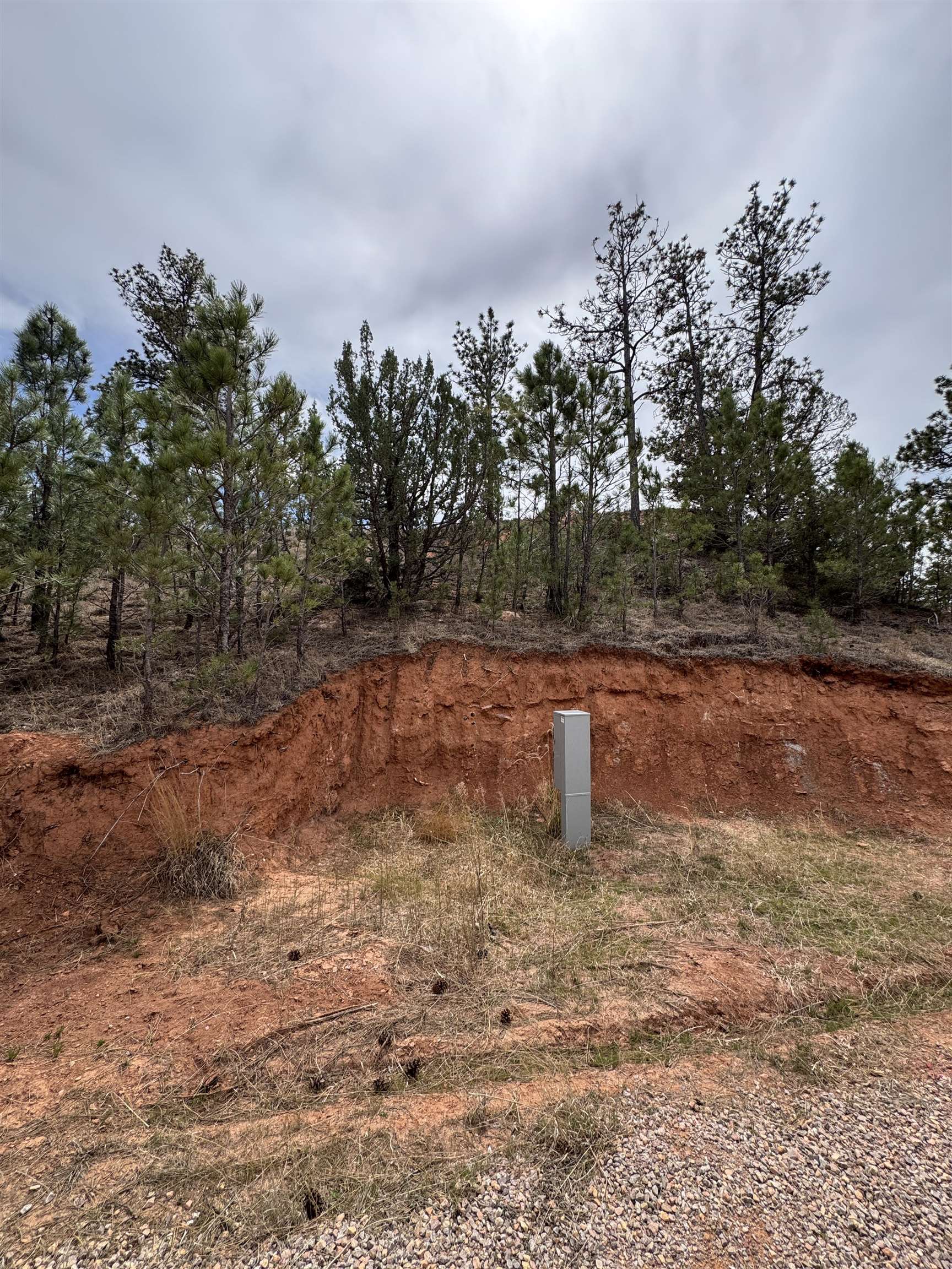 12707 Stardust Pass Property Photo 9