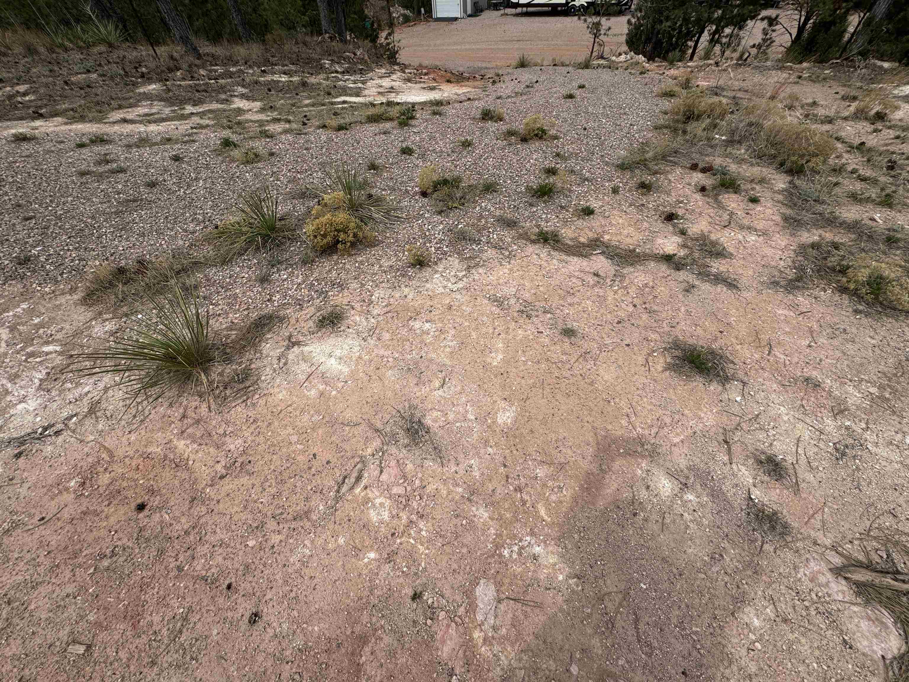 12707 Stardust Pass Property Photo 10