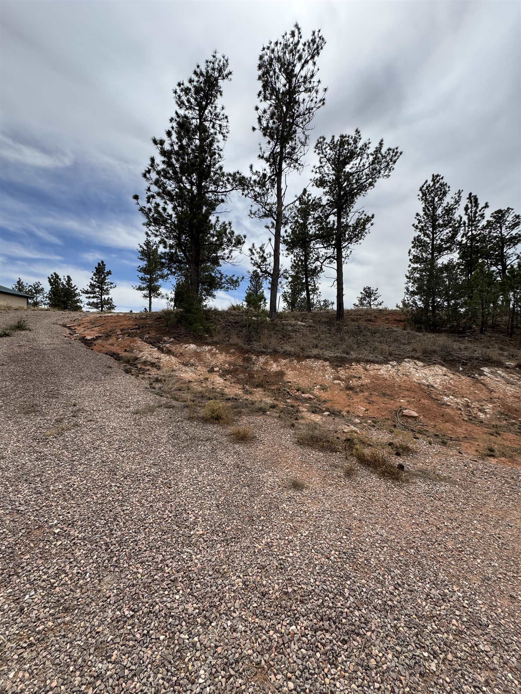 12707 Stardust Pass Property Photo 11