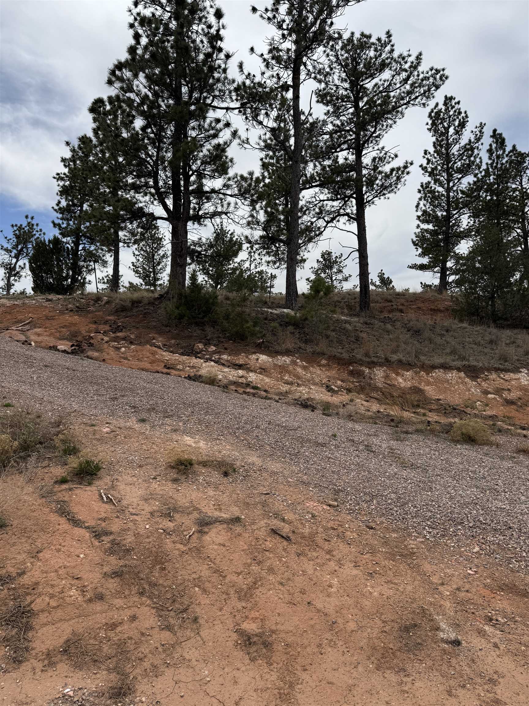 12707 Stardust Pass Property Photo 12